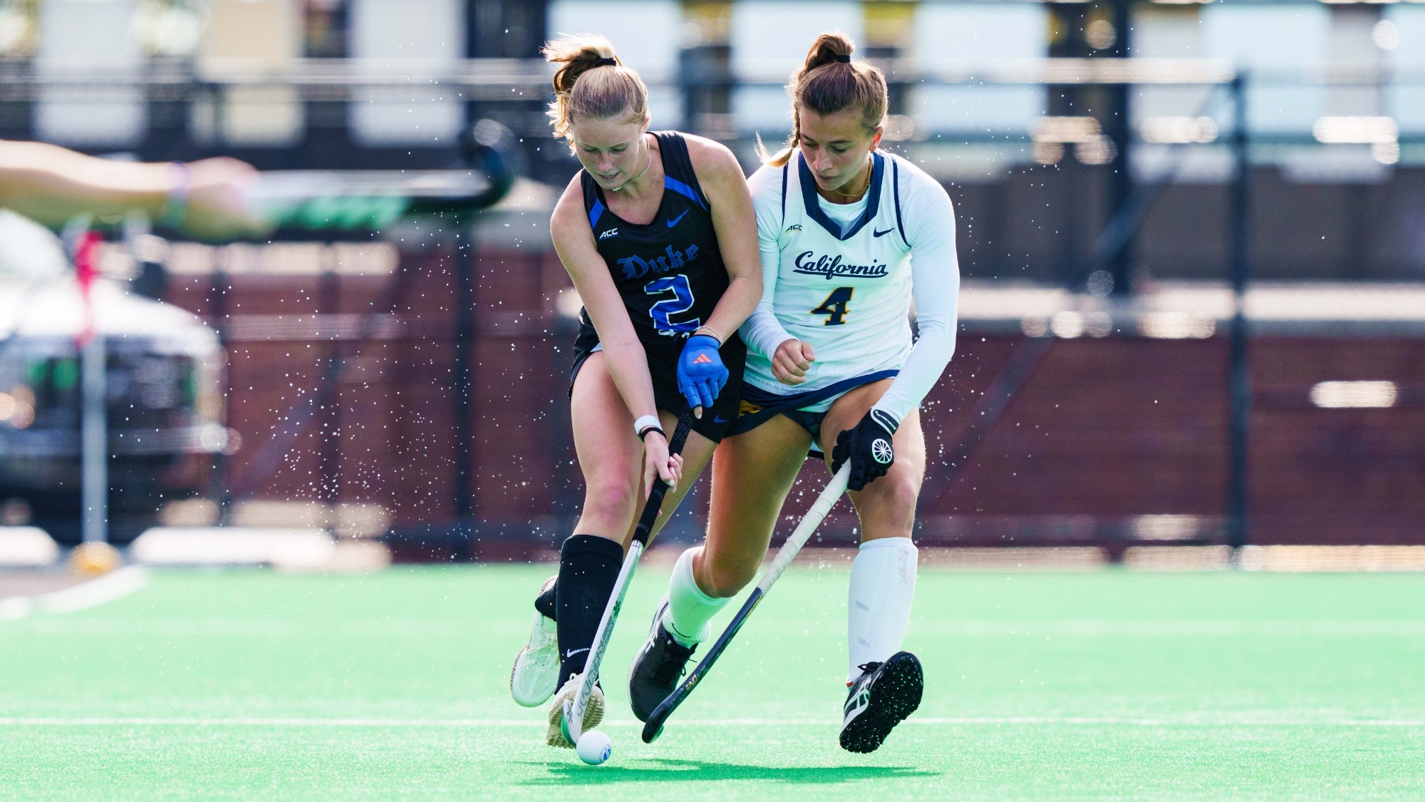 LOUISVILLE, KENTUCKY - November 4: Duke University competes against the University of California at Trager Stadium on November 4 in Louisville, Kentucky. (Photo by Chris Carter/Chris Carter Media)