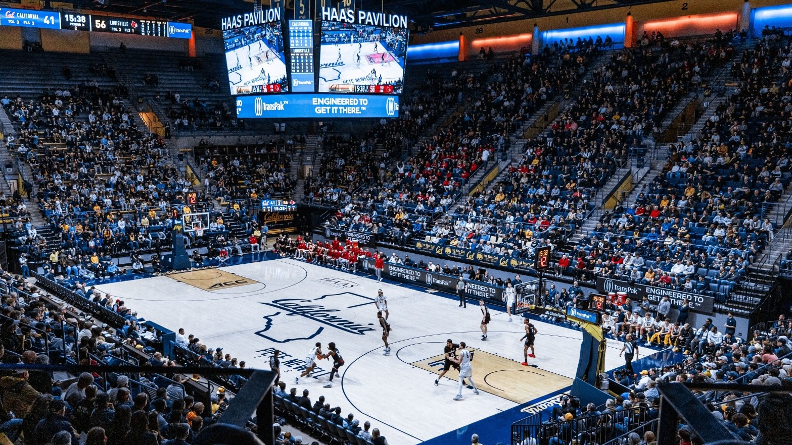 Cal vs. Louisville at Haas Pavilion - wide shot