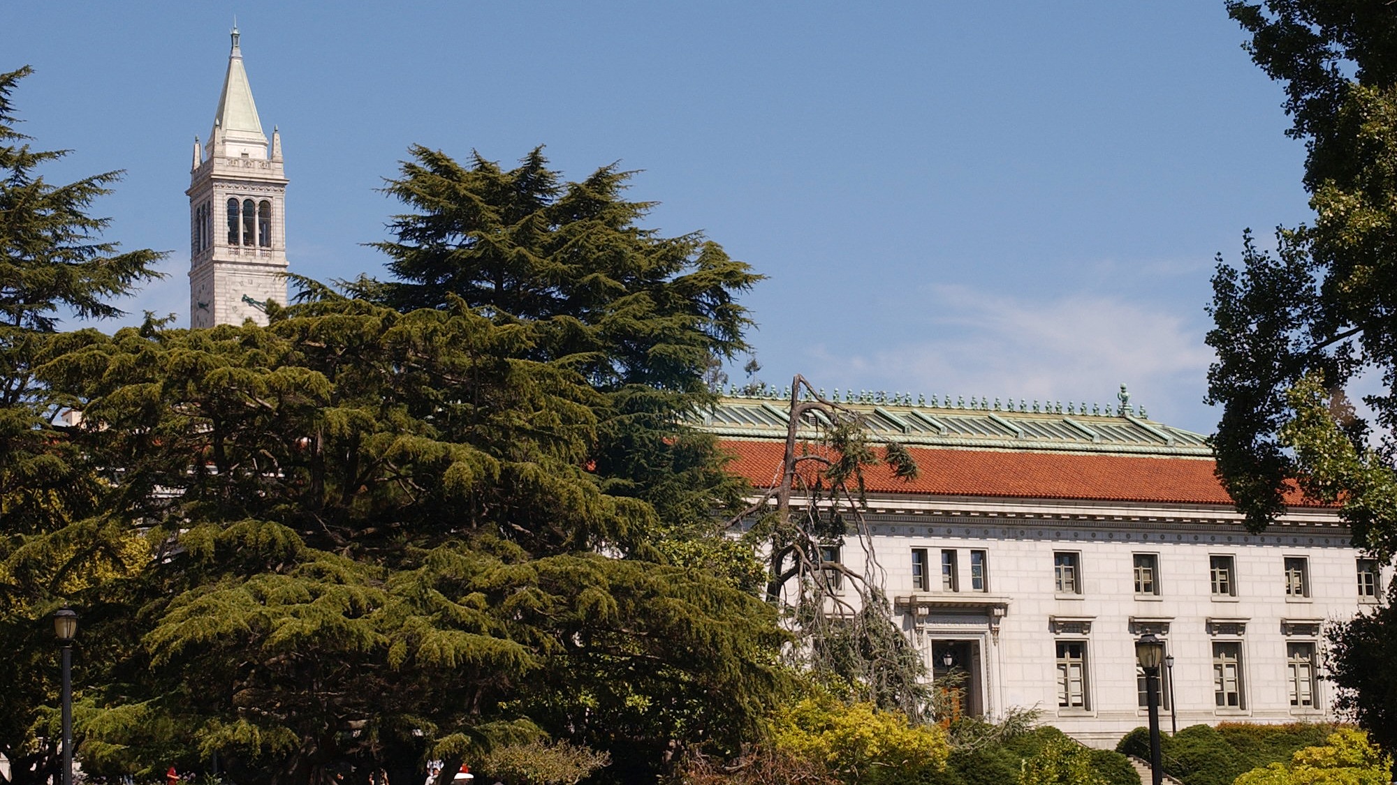 Campanile & Cal Hall
