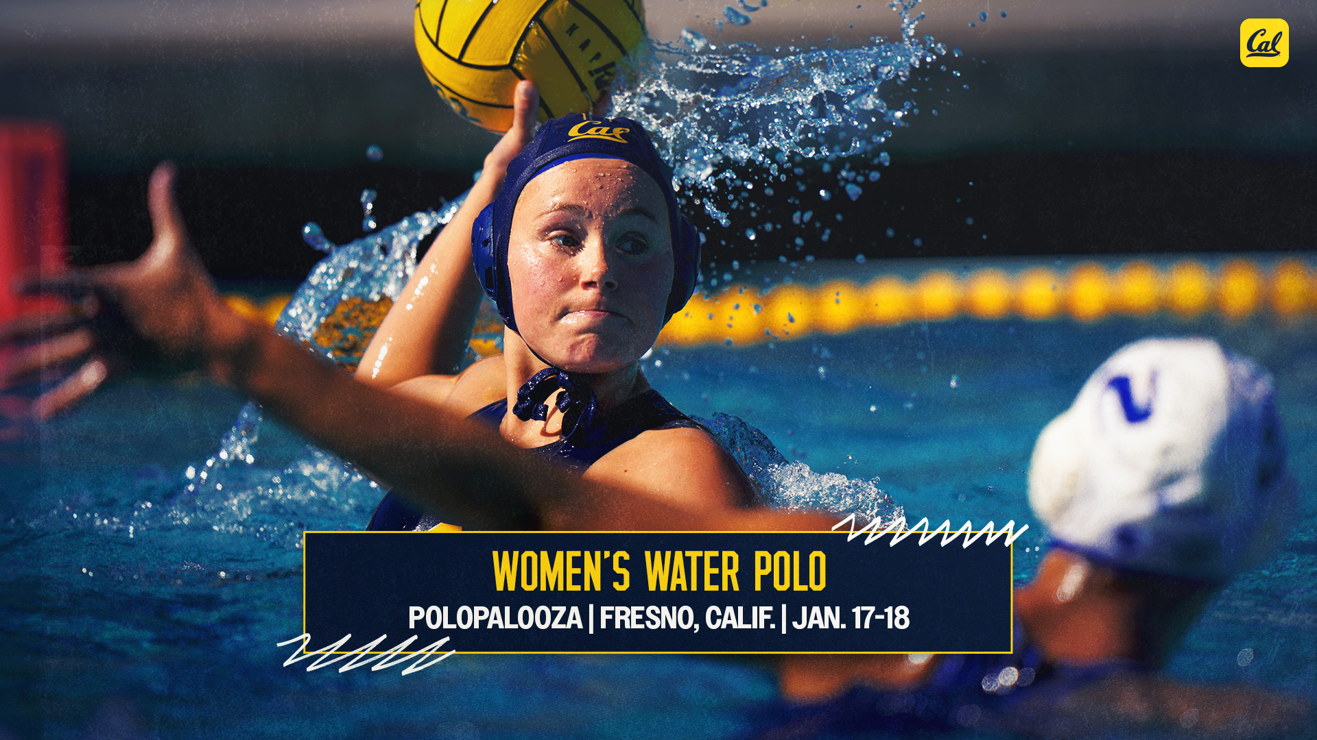 Kate Meyer surveys the scene - web preview graphic