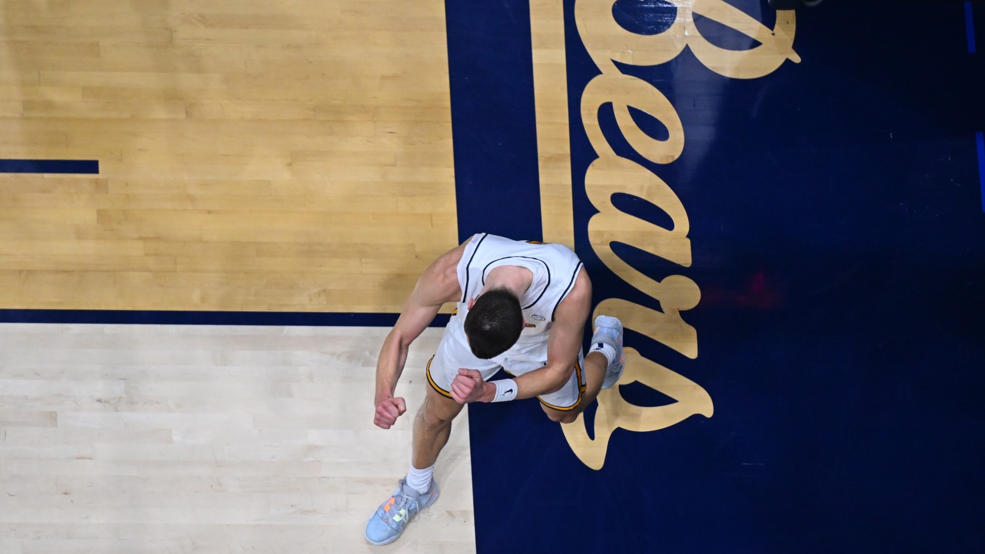 John Camden cheers on court during Cal's upset win over No. 14 UNC at Haas Pavilion