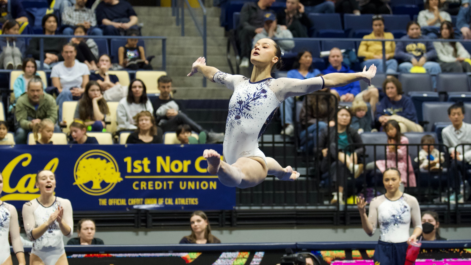 Tonya Paulsson vs. NC State (1.24.2026) 