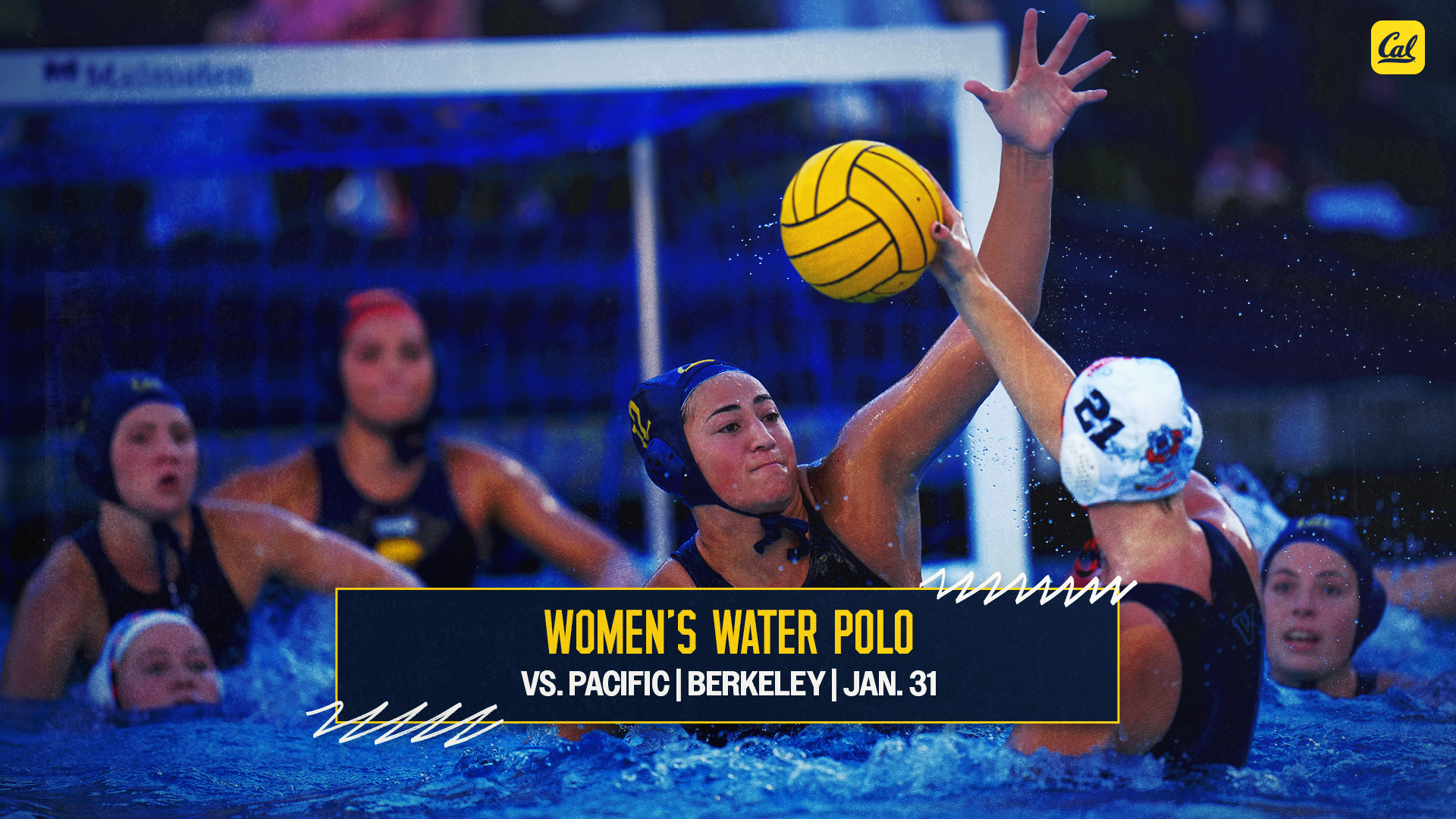 Holly Dunn defends a Fresno State player - site preview graphic