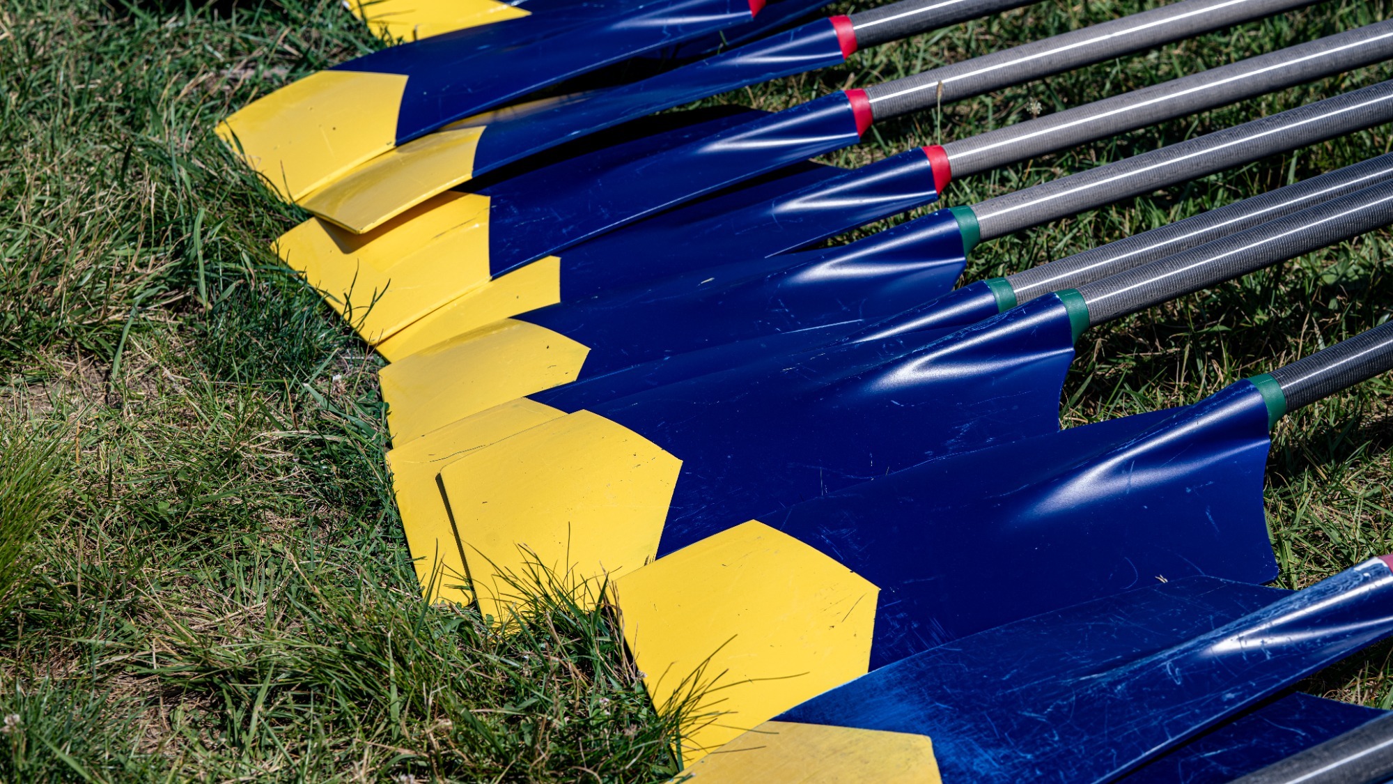 Cal Crew Oars 