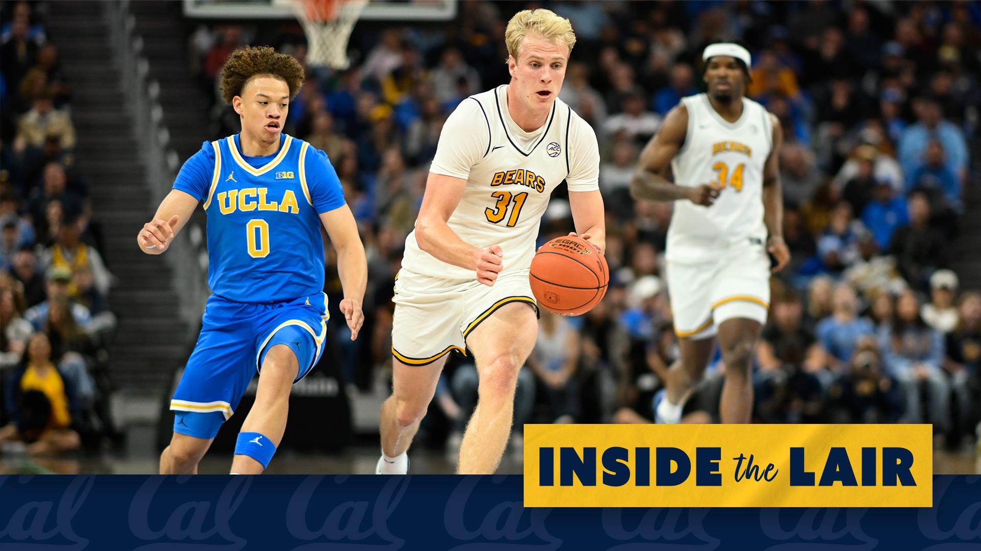 Rytis Petraitis - CSQ web graphic