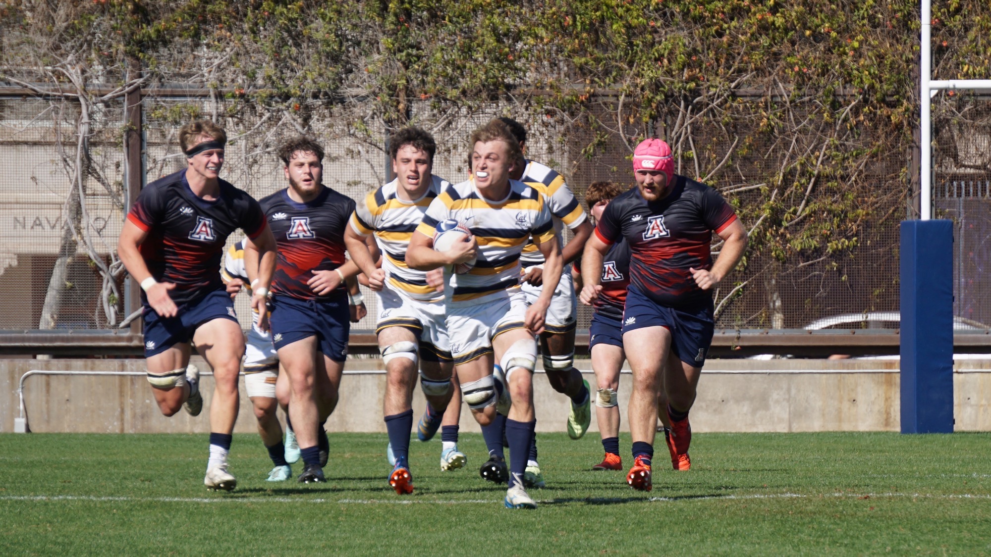 Oliver Newall action