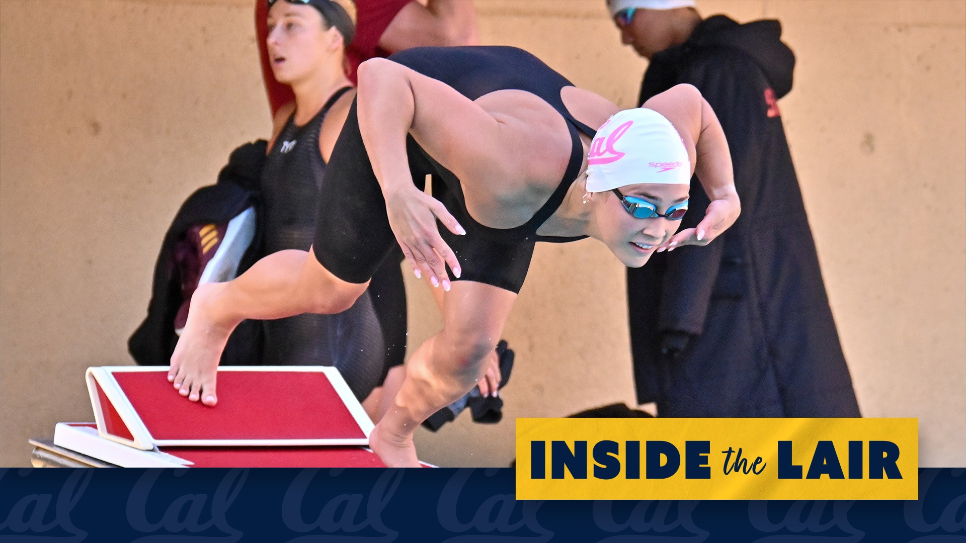 Abby Herscu - CSQ web graphic