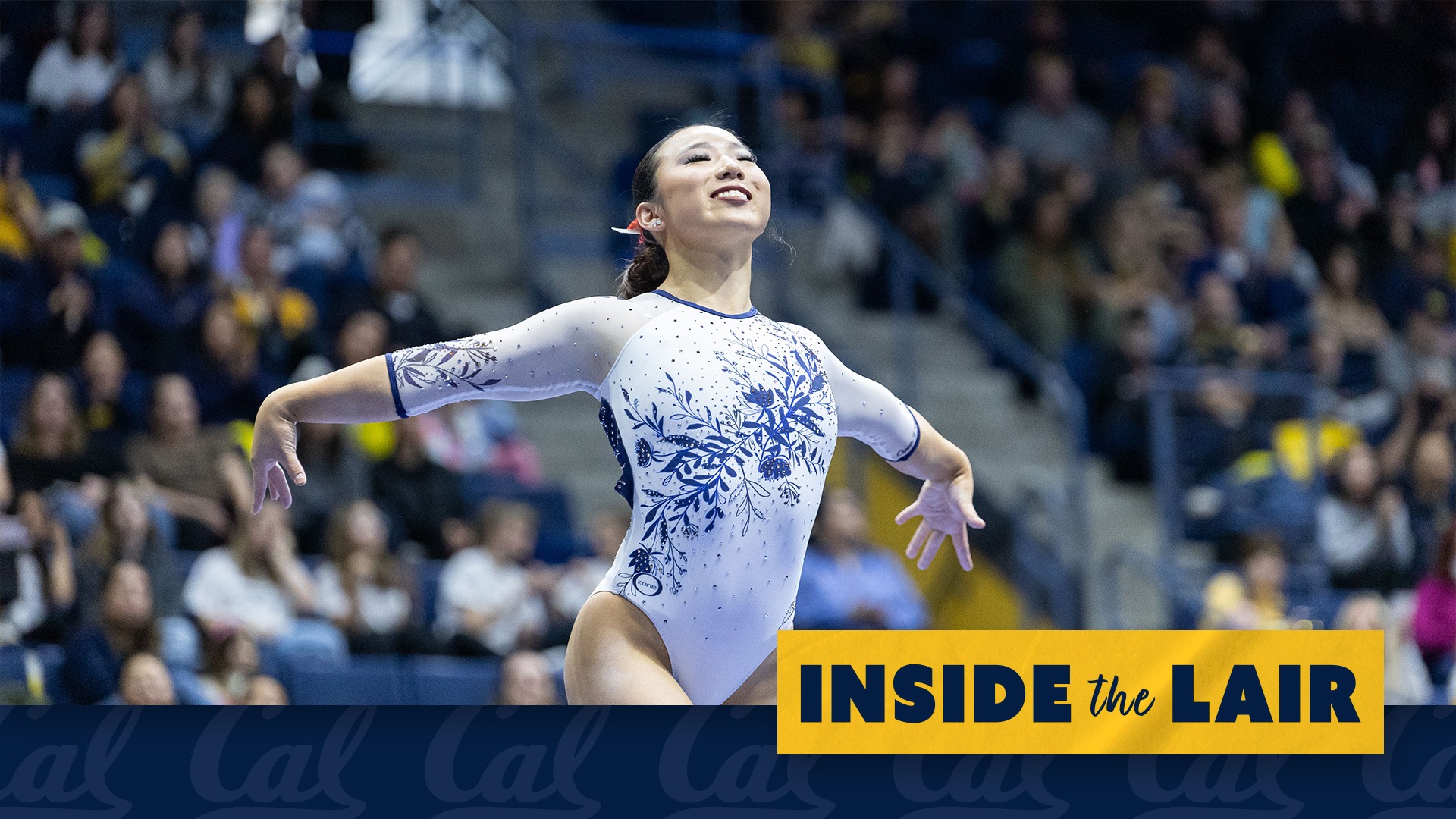 Abbey Scanlon - CSQ Feature web graphic