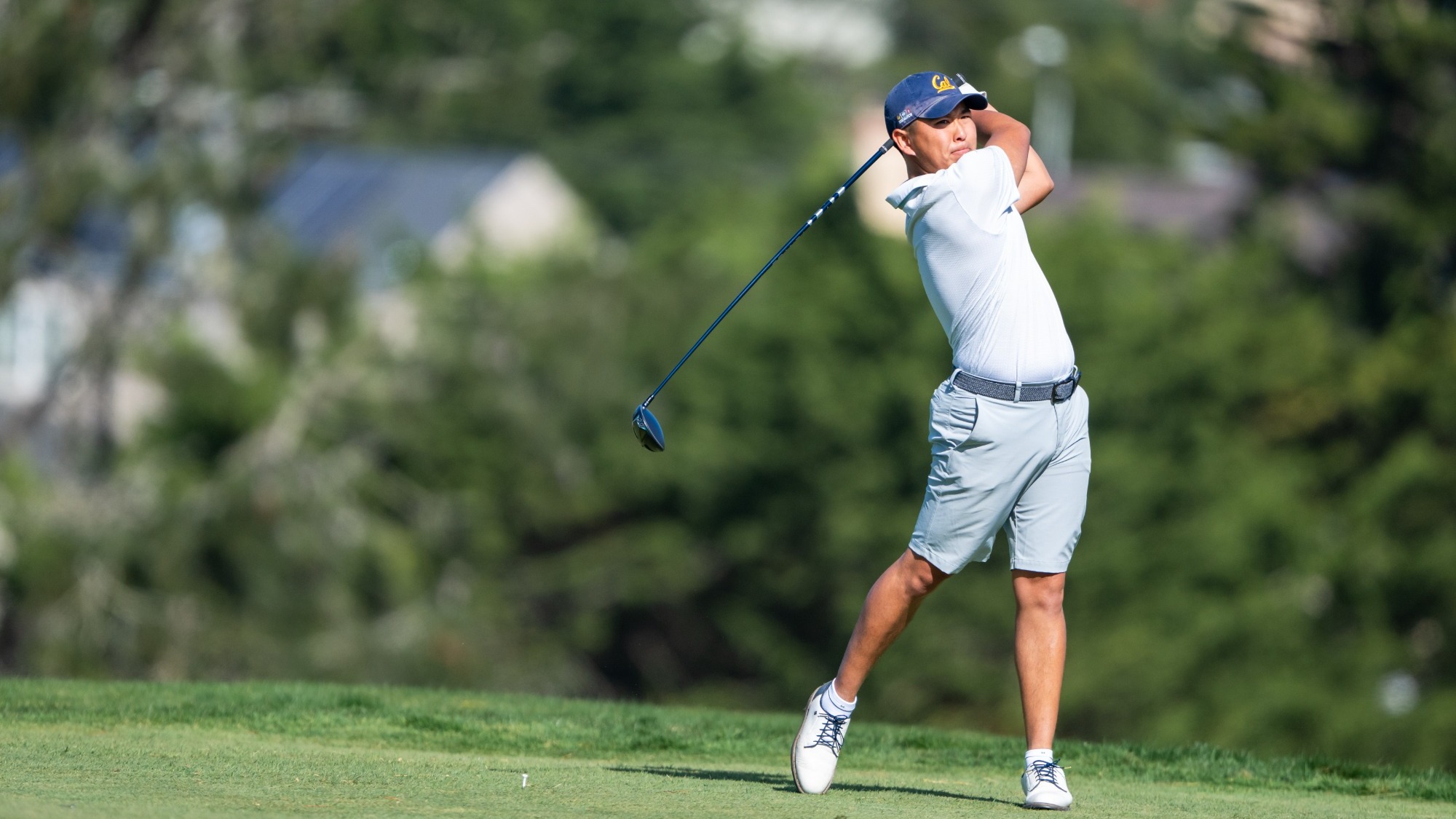 Cong at the Desimone