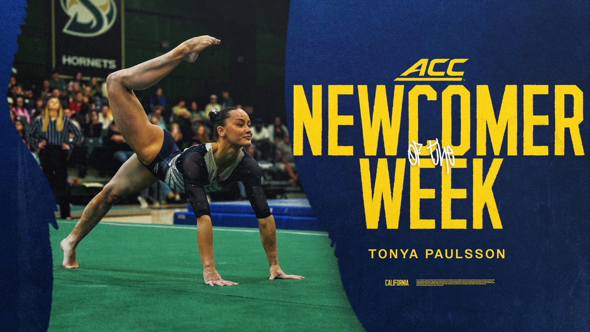 Tonya Paulsson ACC Newcomer of the Week (Week 8)