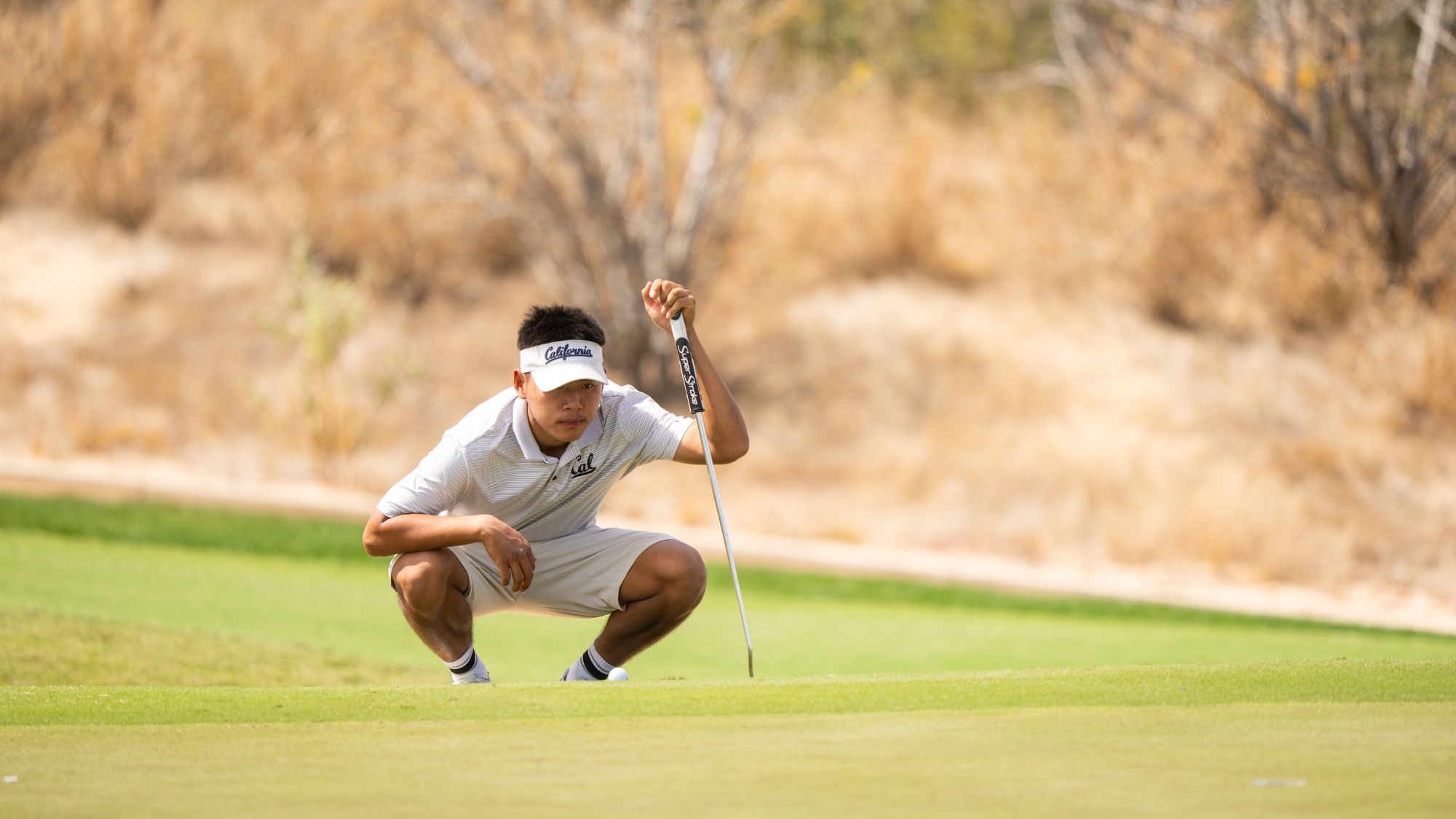 Ziqin Zhou Cabo Collegiate