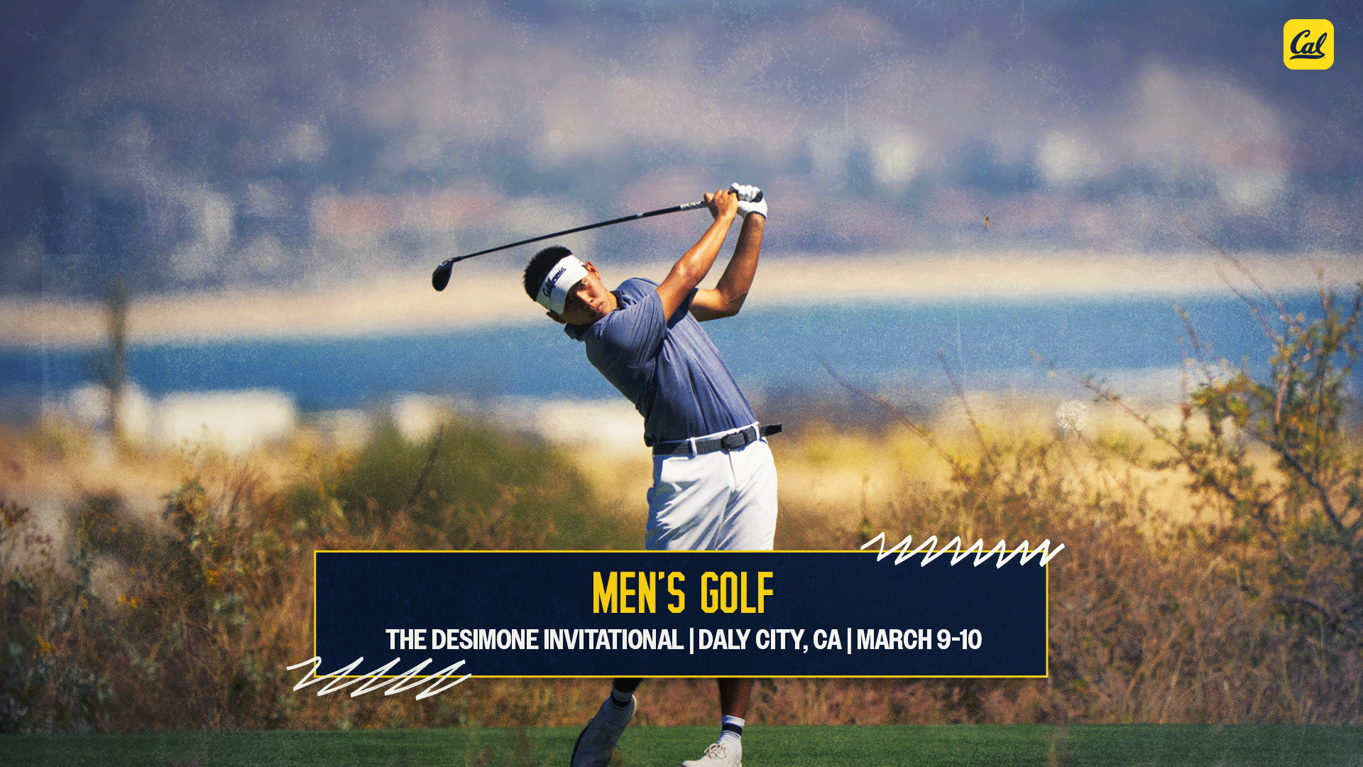 Ziqin Web Preview Desimone