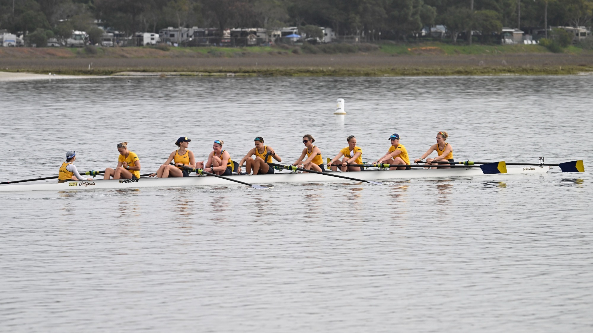 Cal women's rowing