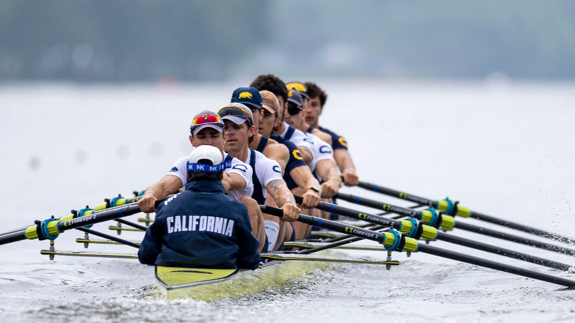 Cal men's rowing 