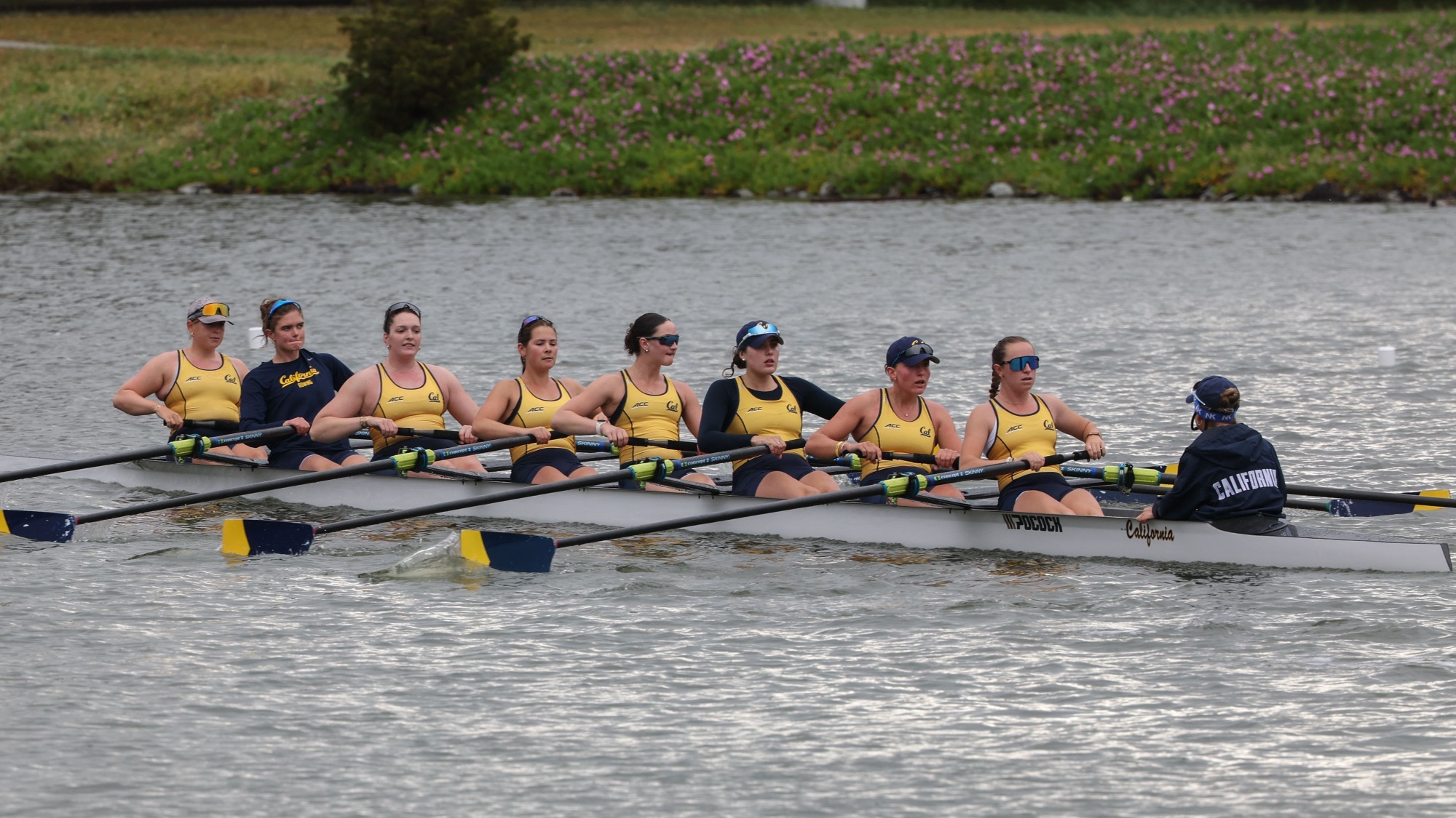 2026 Cal women's rowing eight