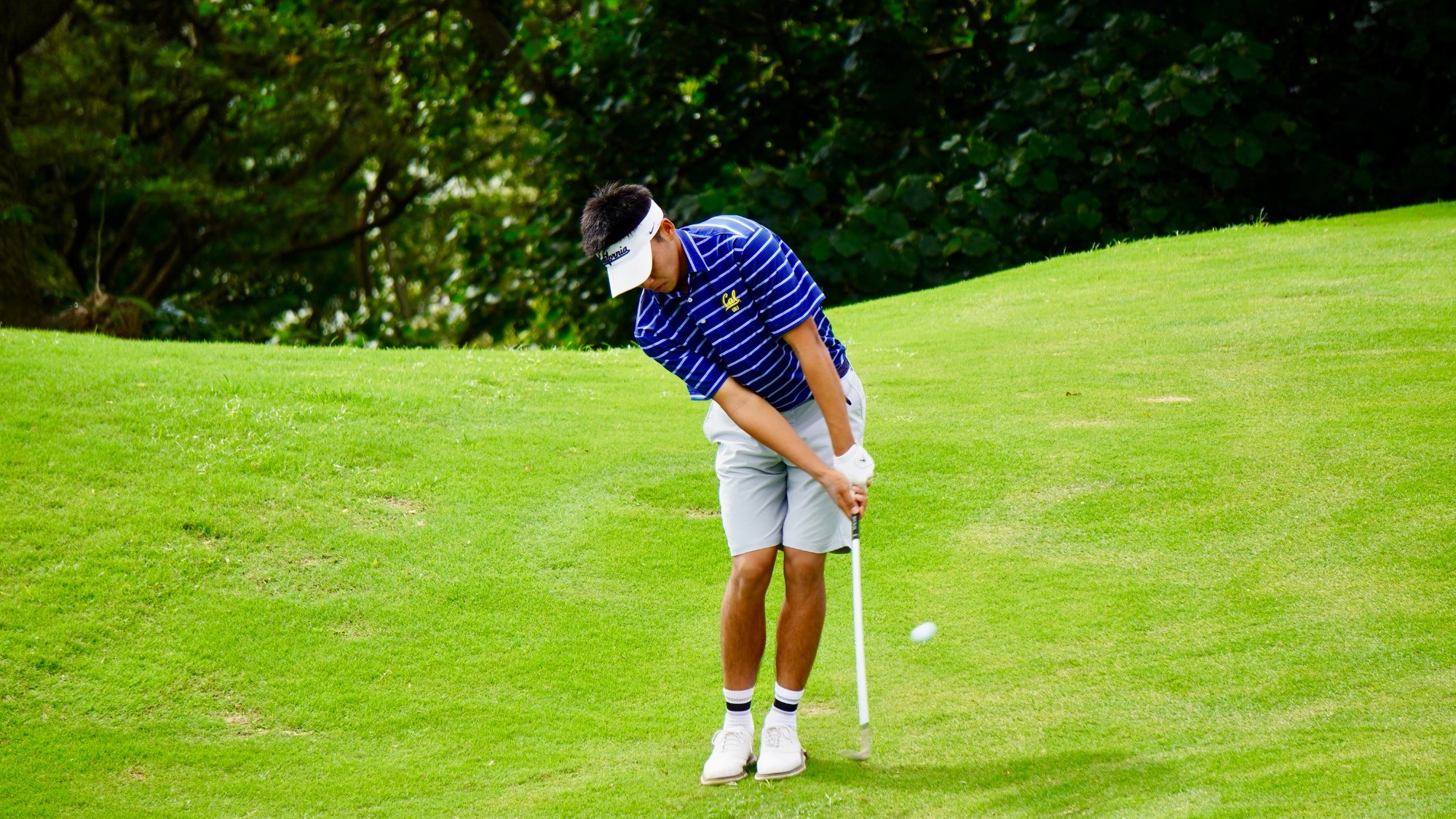 Zhou at John A. Burns Intercollegiate