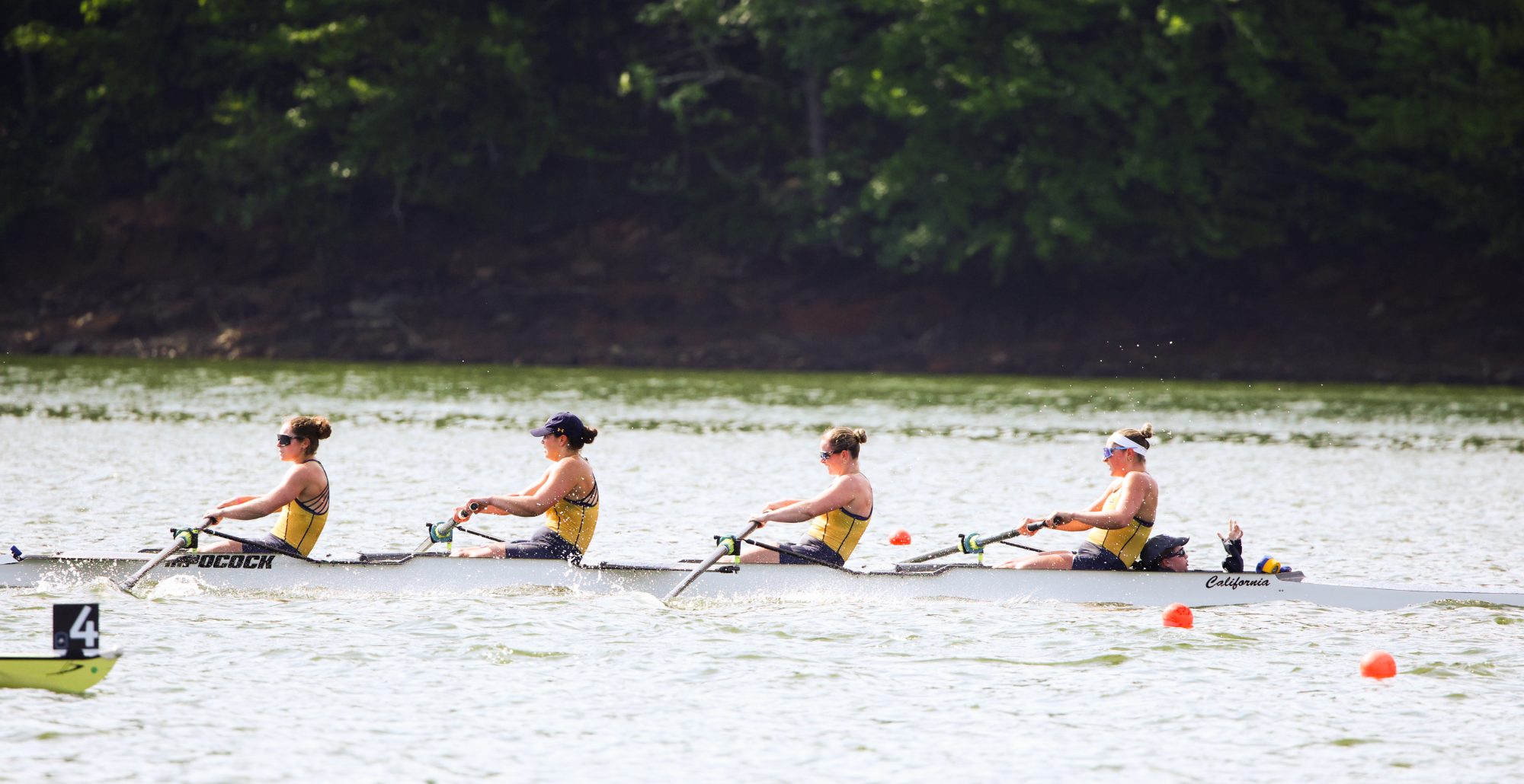 Cal WROW: First varsity four at NCAA Championships