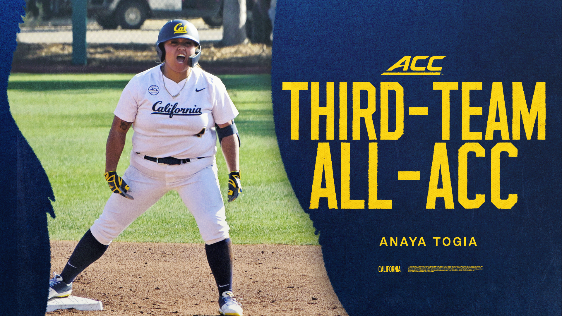 Togia all-acc