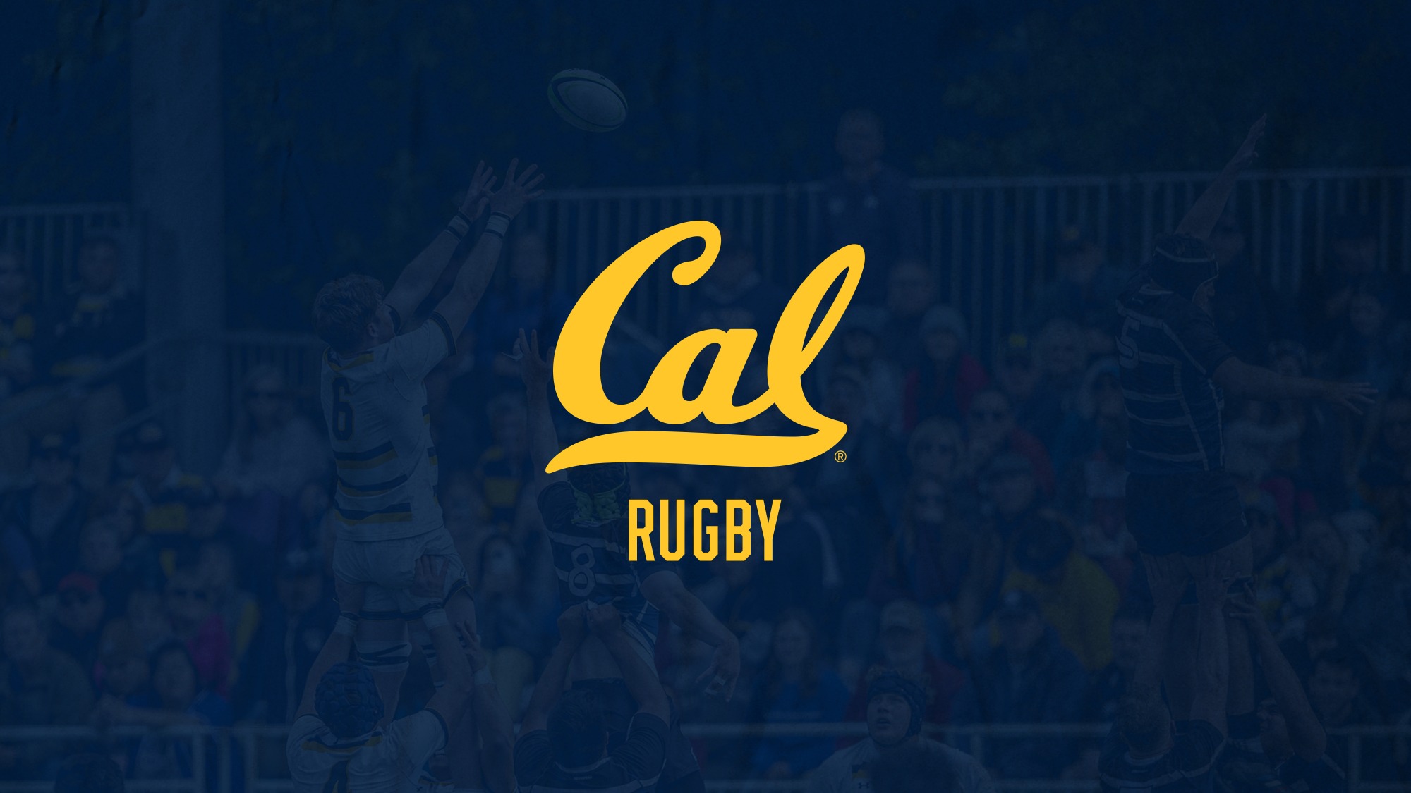 Cal Background