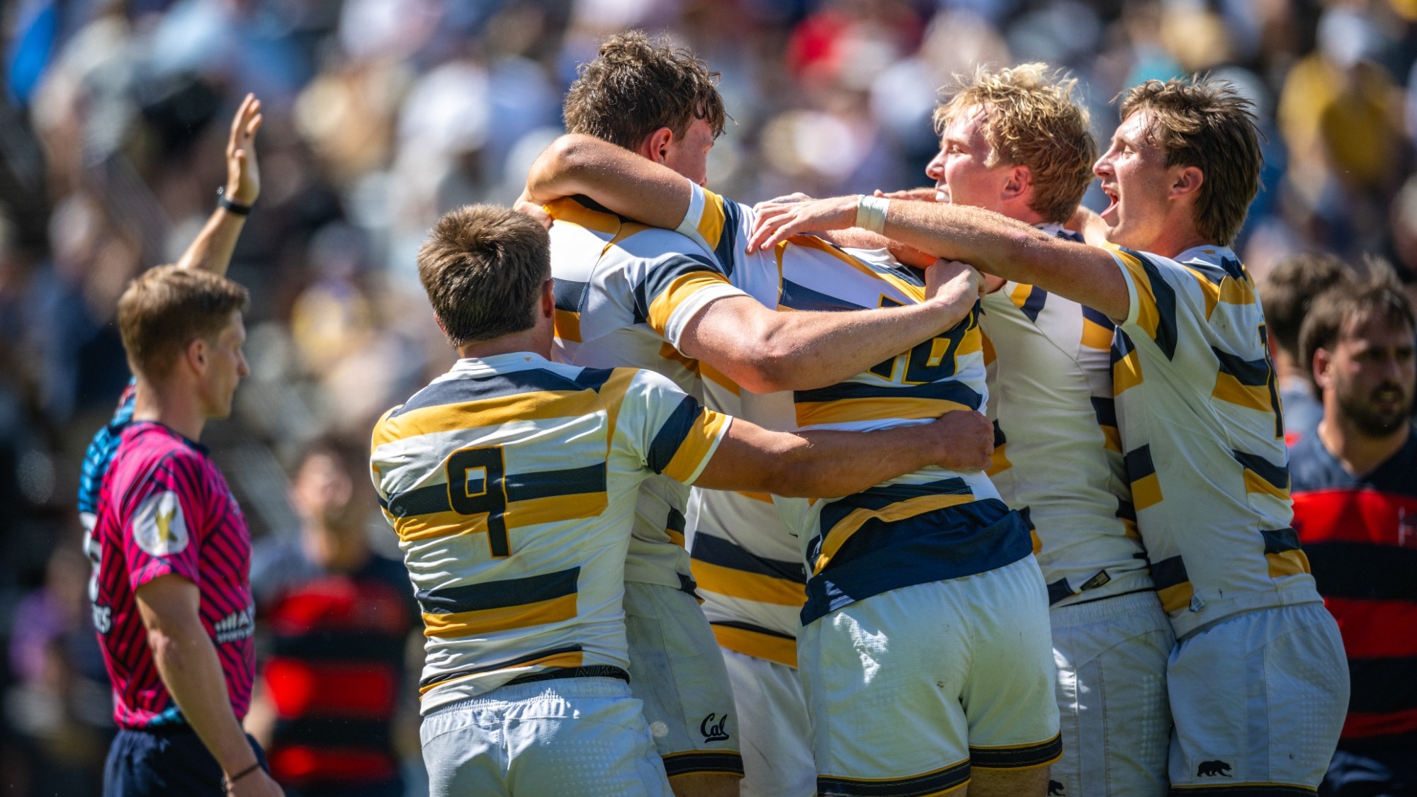 Rugby Team Celebration