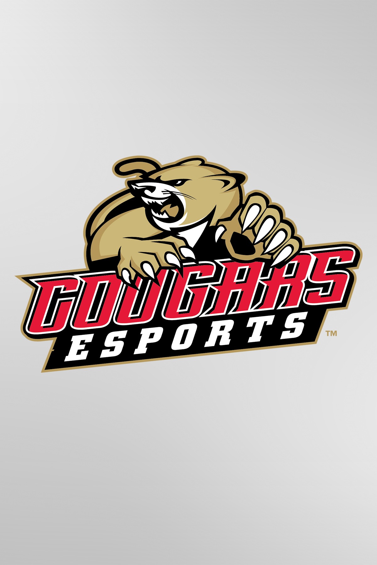eSports Web Logo Players