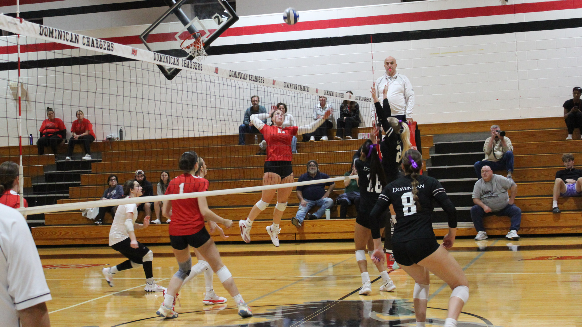 Schubert-Brown to hit