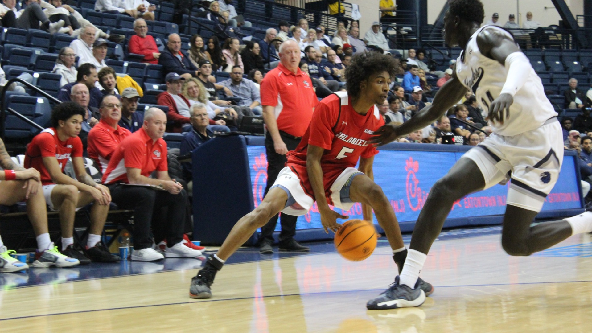 Philbert between legs