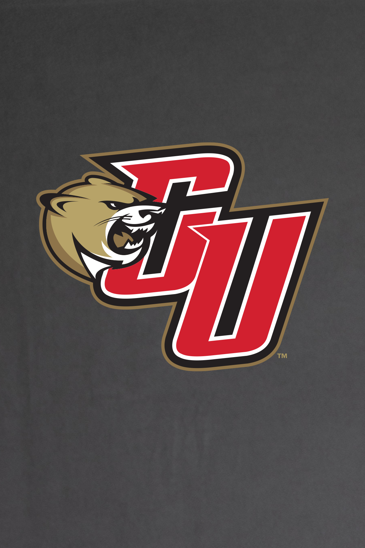 CU Logo on Gray