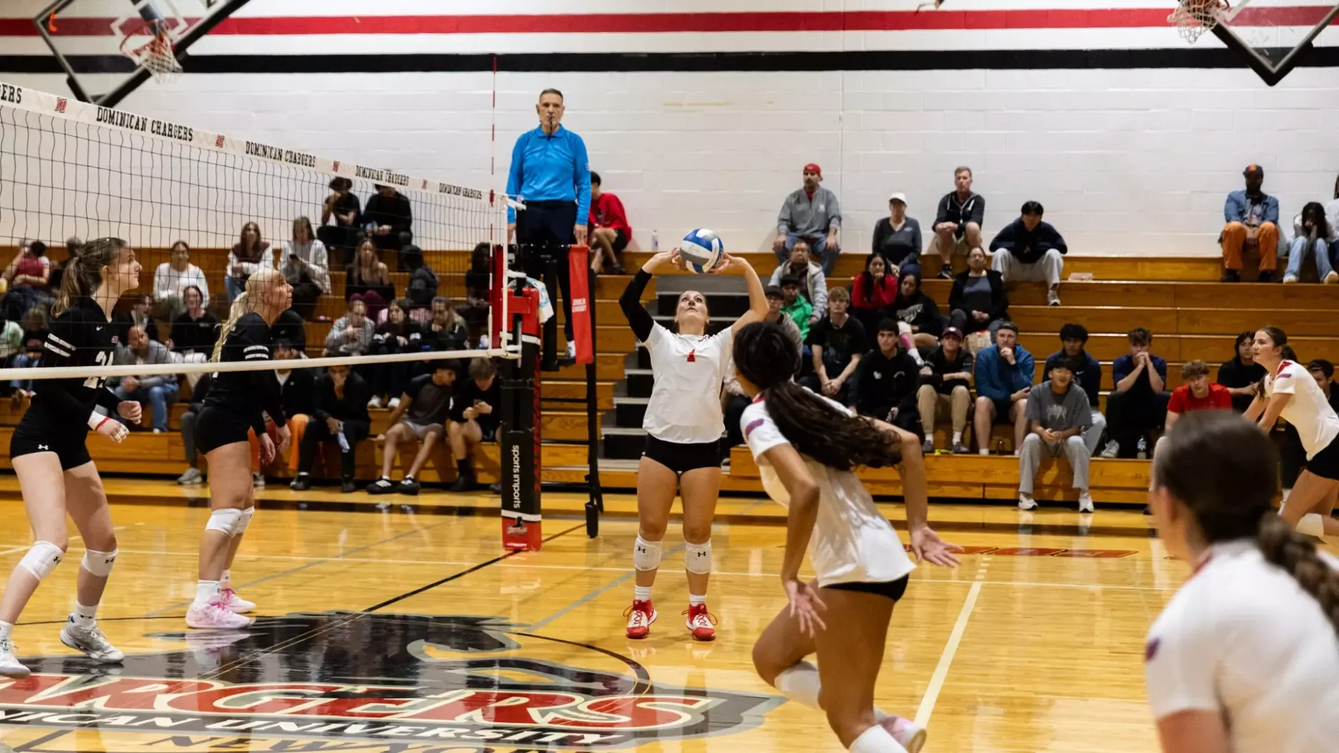 Moliterno straight set