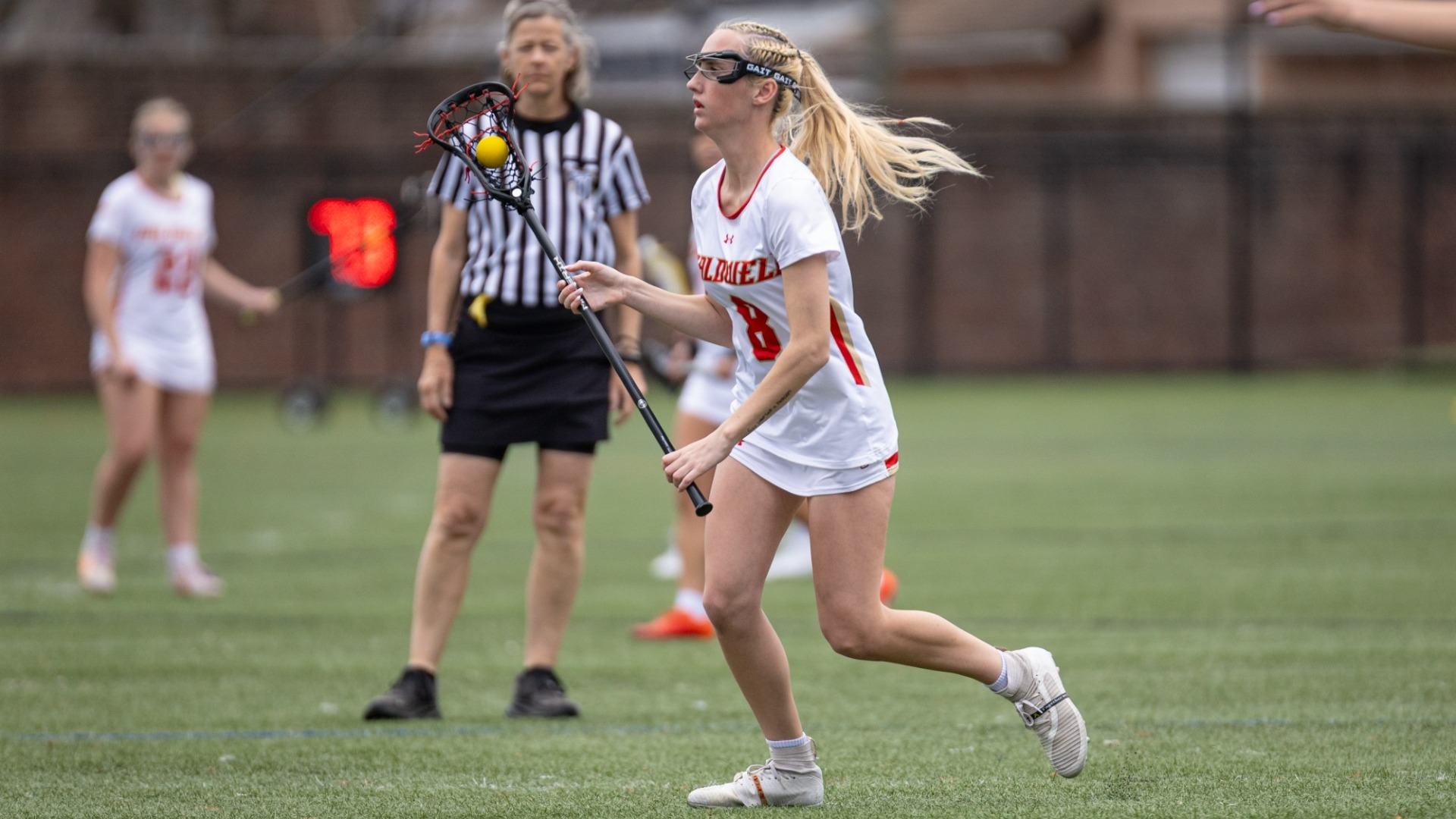 Camporeale open field