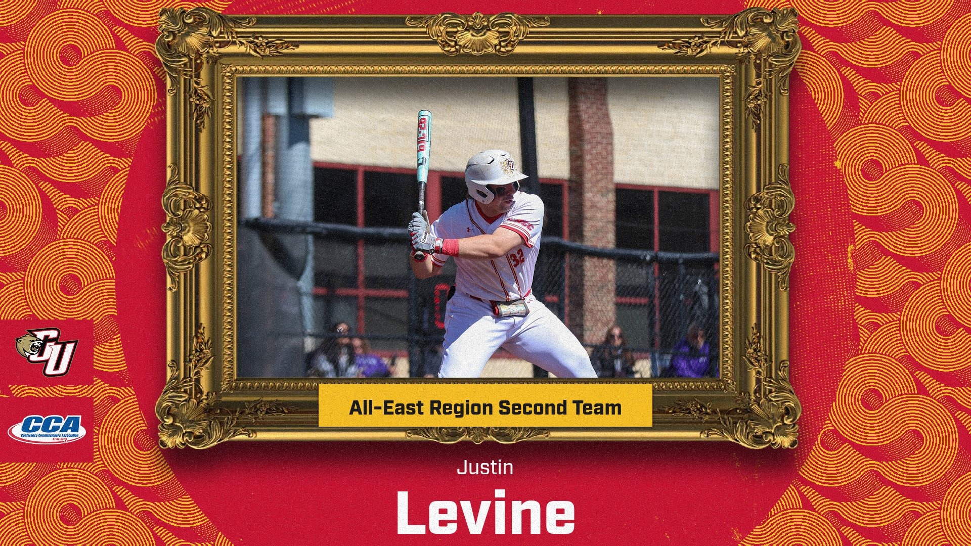 Levine D2CCA All-Region