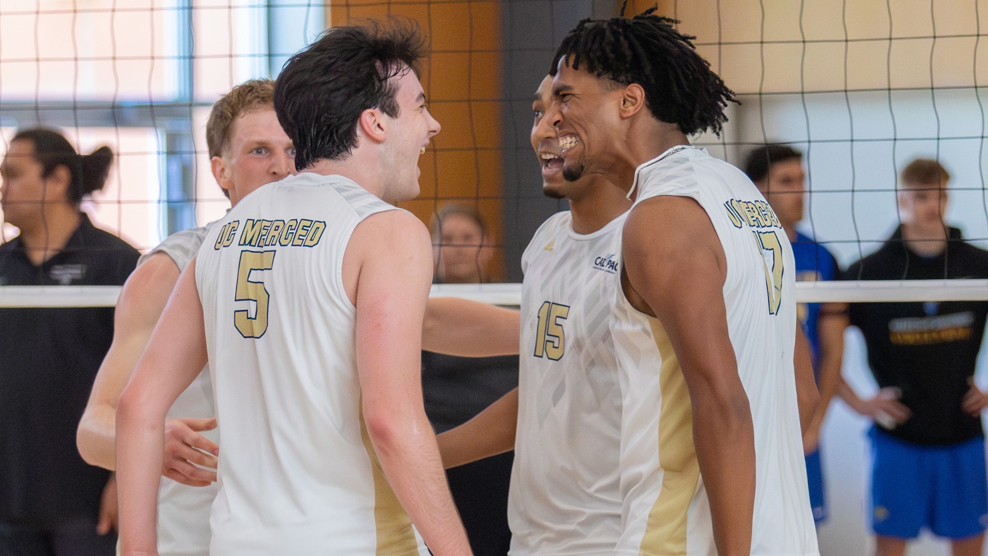 mvbpr1242025december