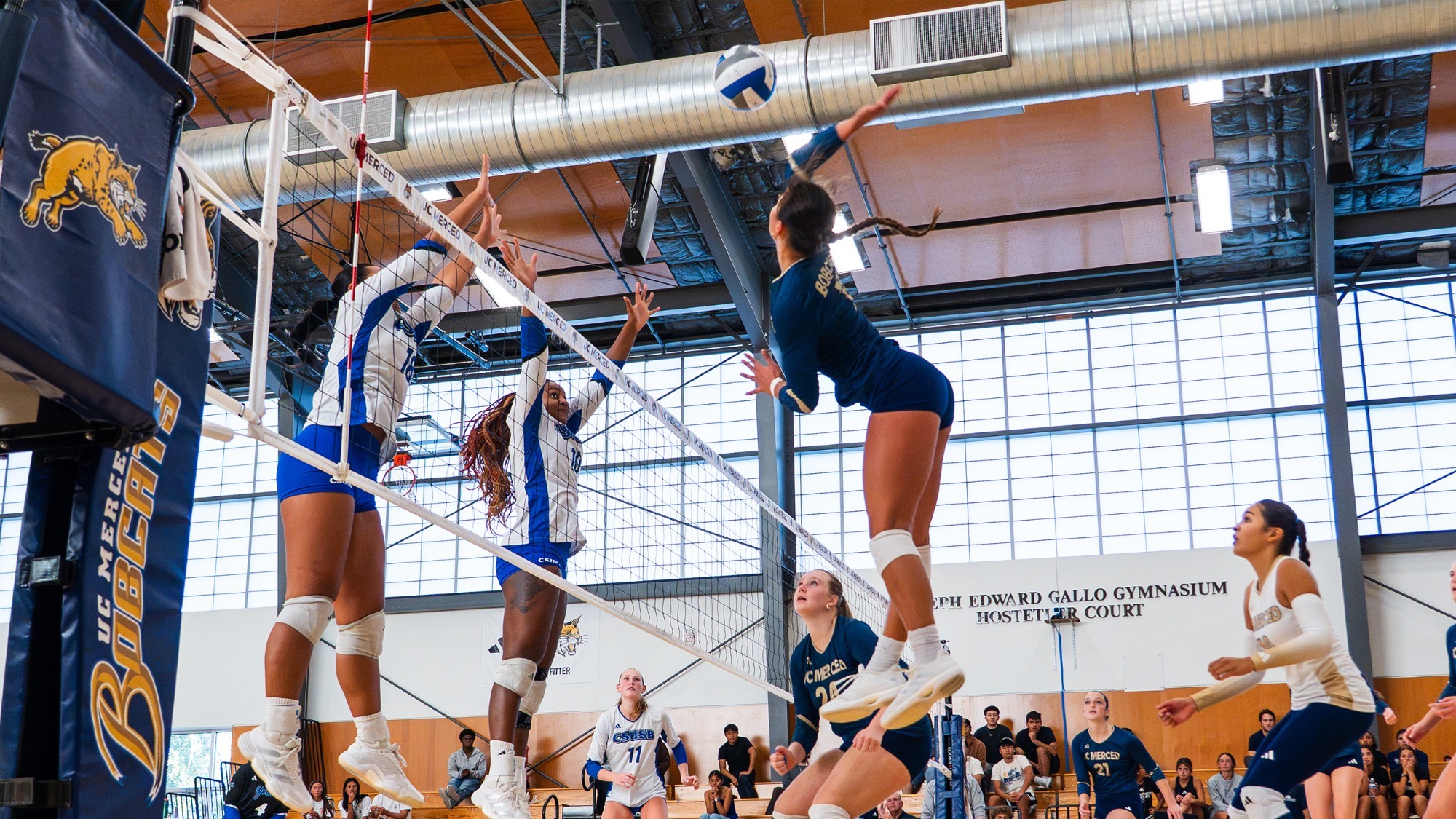 Natalie Riley Attacking from the outside against CSUEB on October 10, 2026