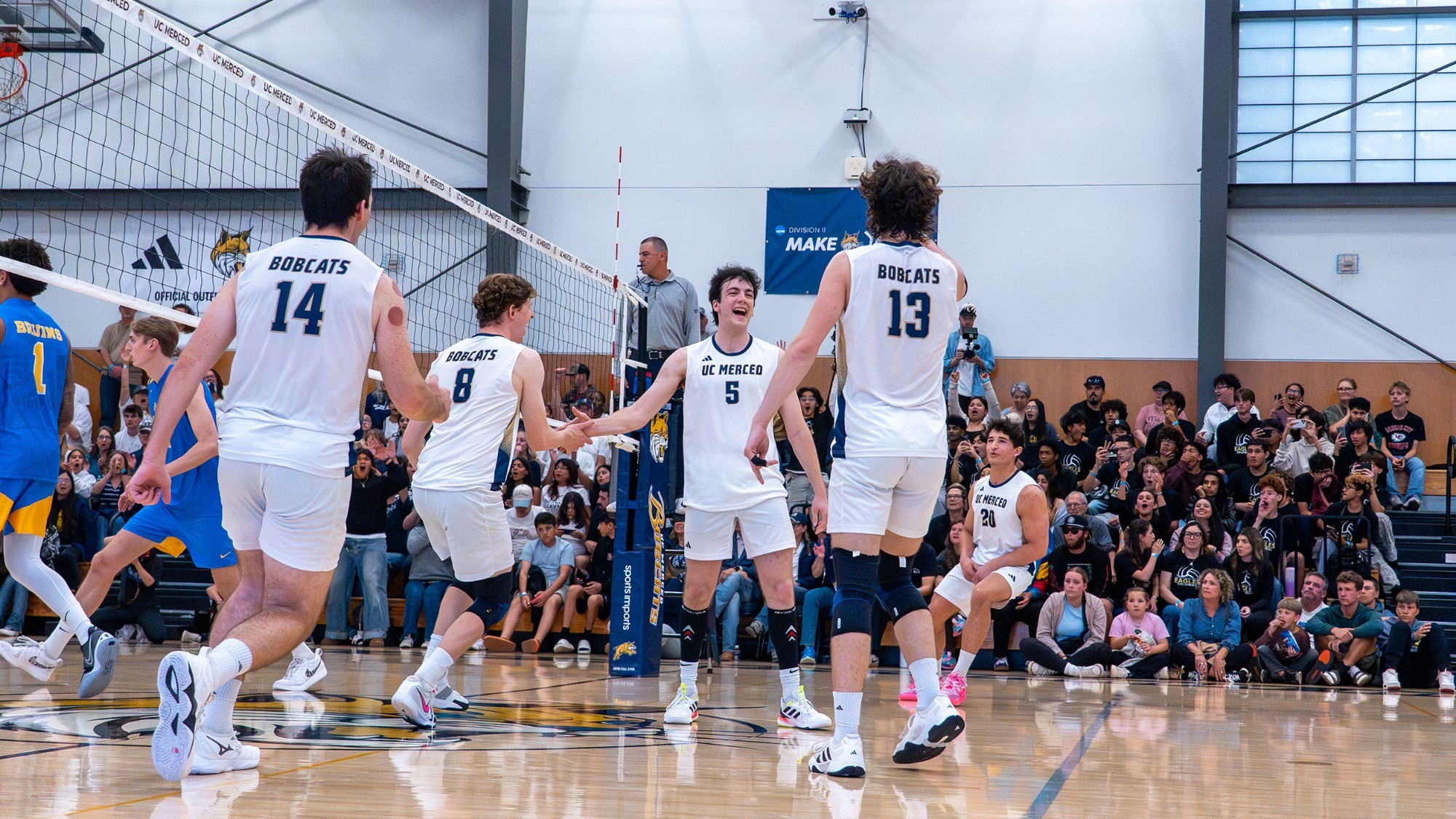 UC Merced men's volleyball celebrates a point against UCLA in front of a capacity crowd inside the Joseph Edward Gallo Gymnasium.