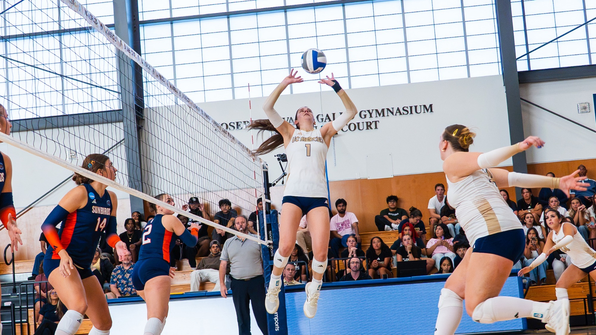 Kyra Miller setting in a match against Fresno Pacific on Hostetler Court