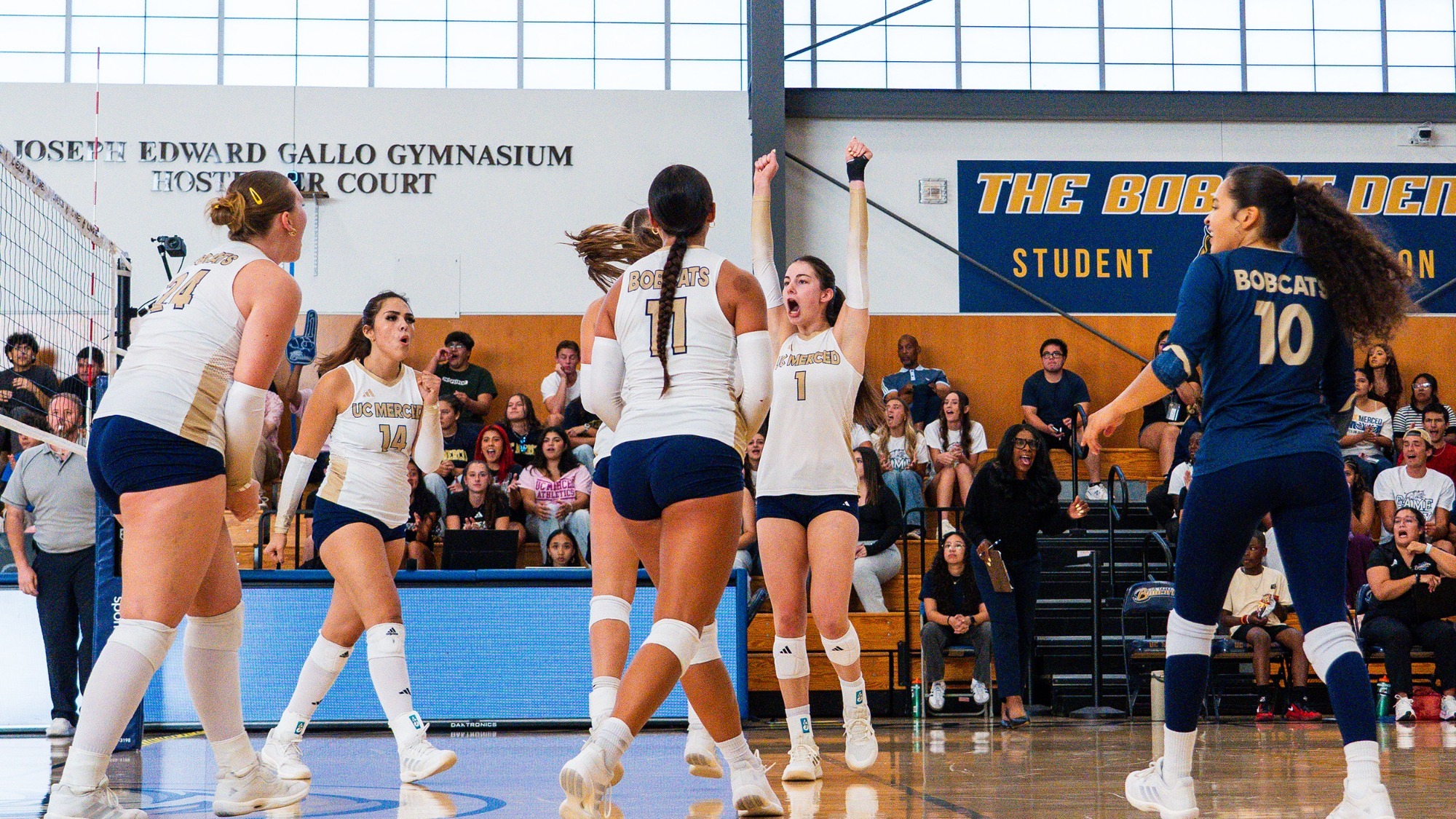 Bobcats celebrate a point against Cal State San Marcos on September 18, 2026.