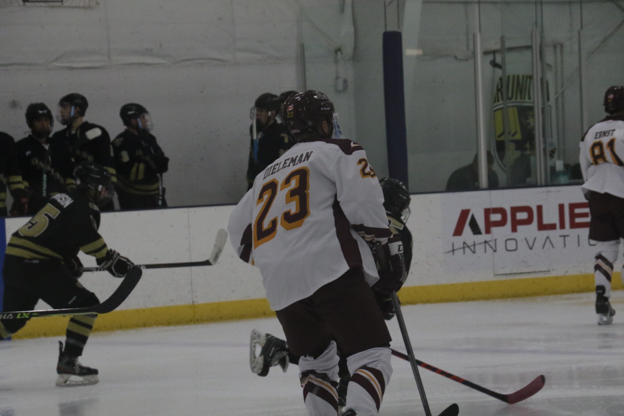 Joel Dieleman 202223 D1 ACHA Calvin University