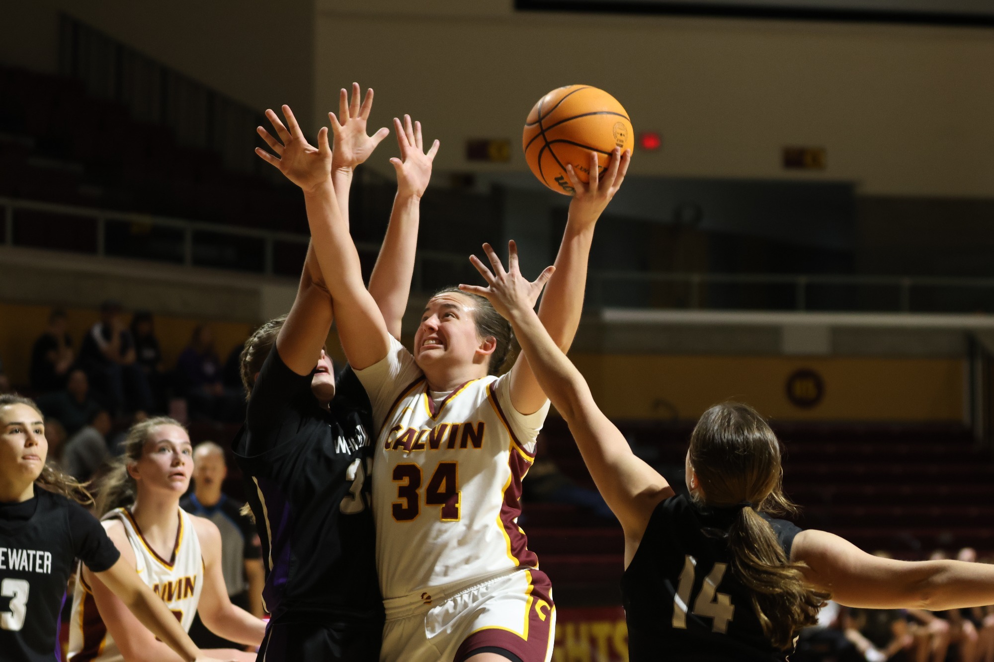 Calvin Women's Basketball Falls to No. 9 UWWhitewater 6455 Calvin