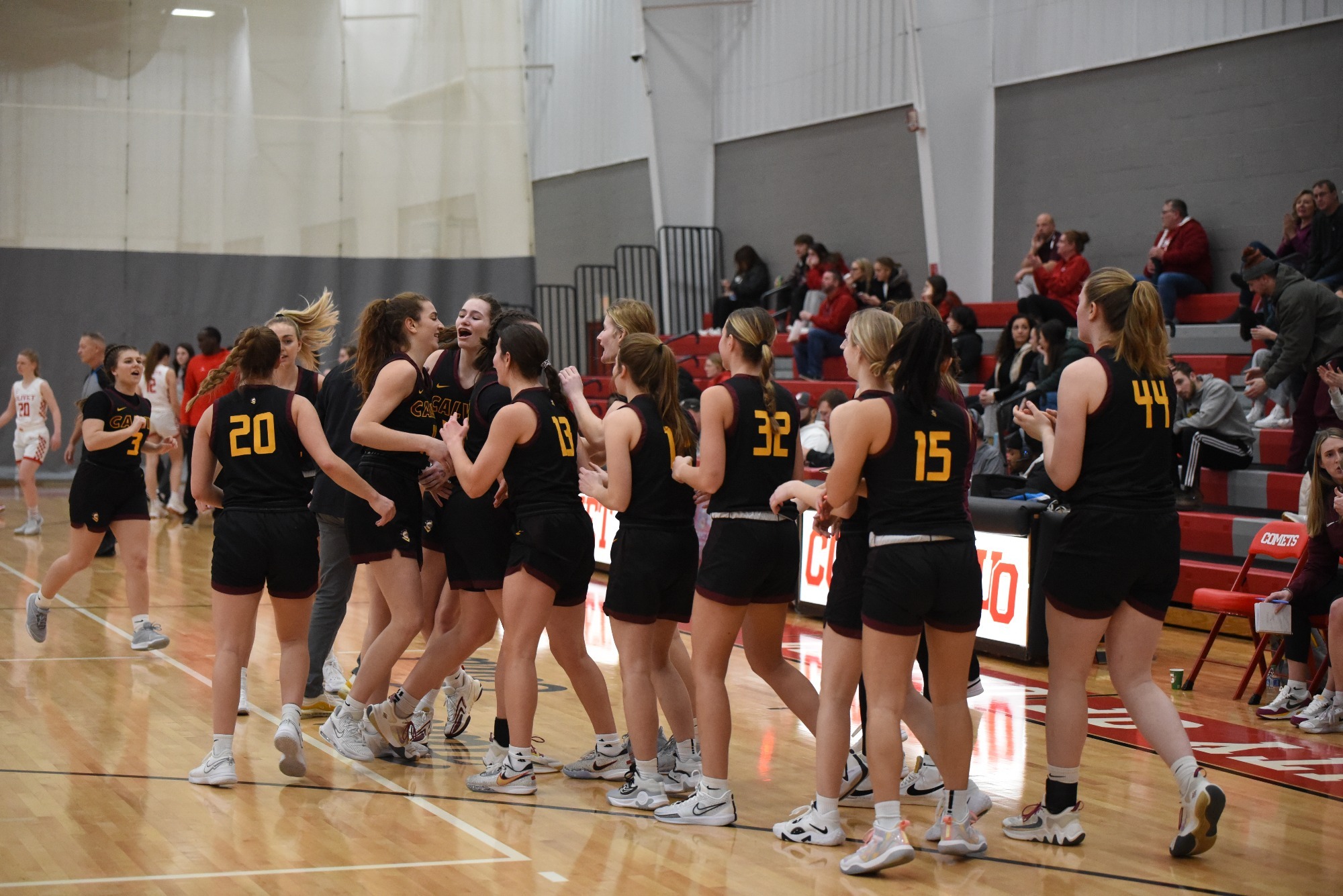 Calvin Women's Basketball Dominates Olivet On The Road in 7250 Win