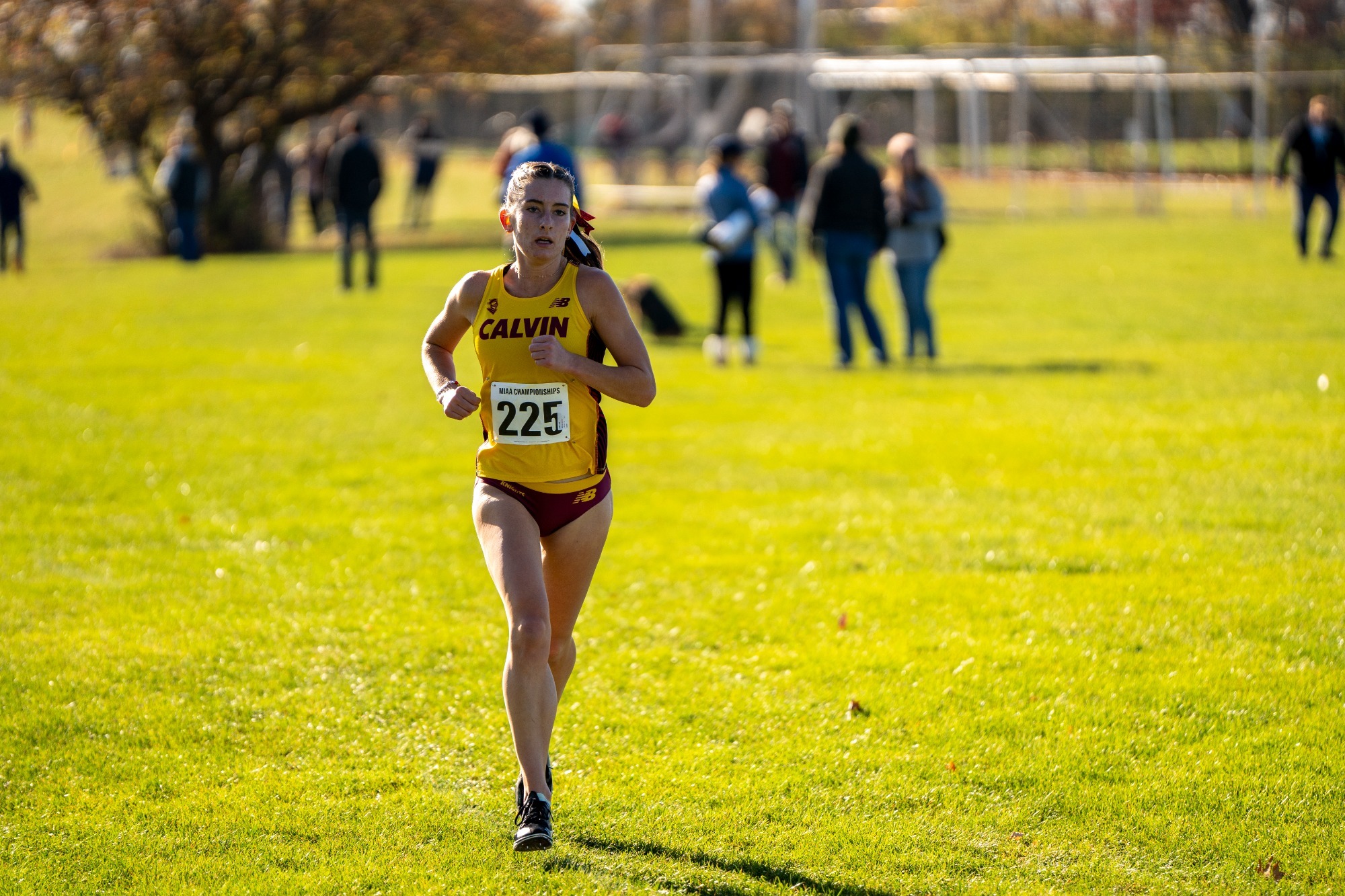 Calvin Women's Cross Country Prepares for 2024 NCAA III Championships