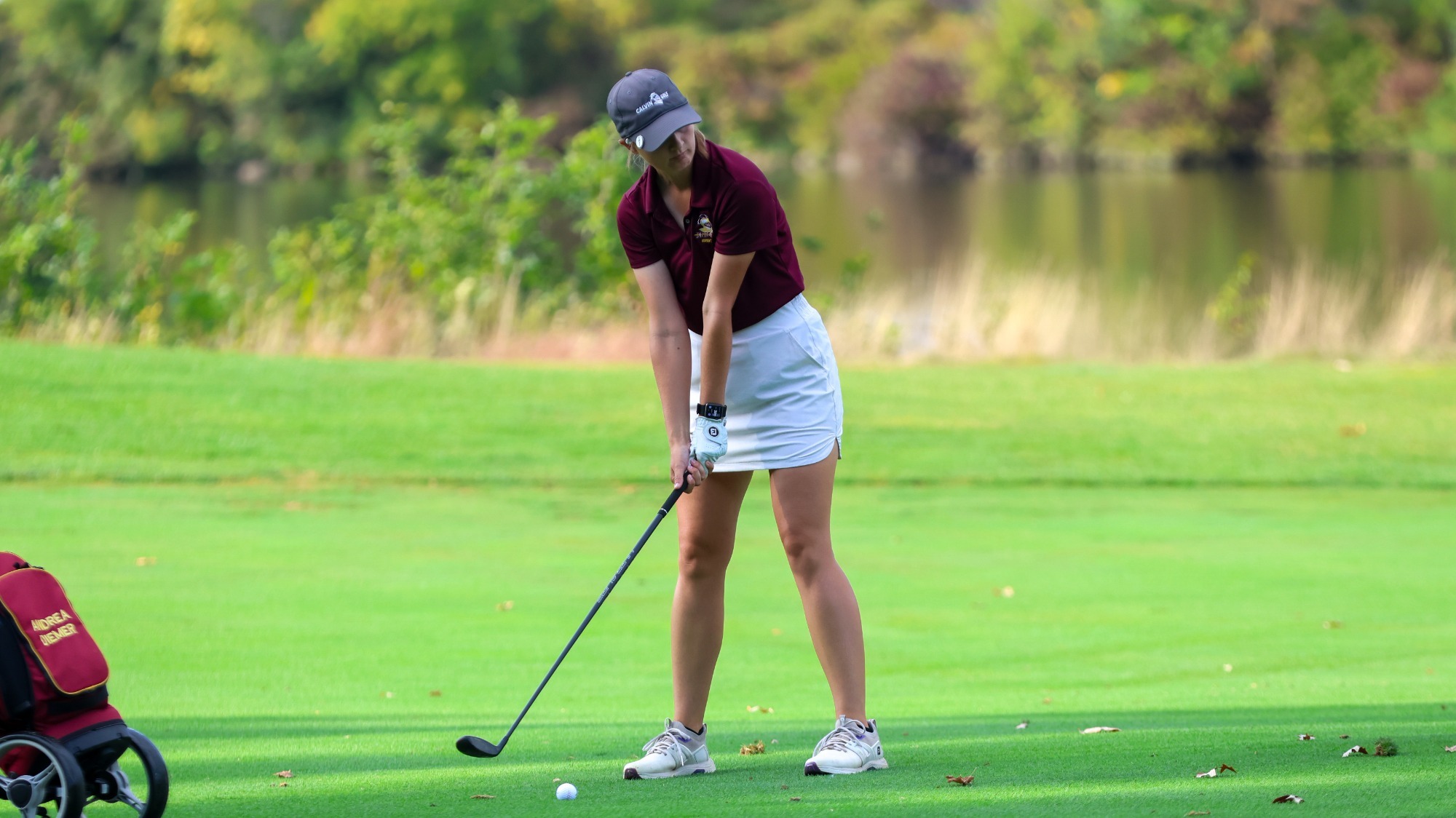 Diemer - MIAA #1 (2025)