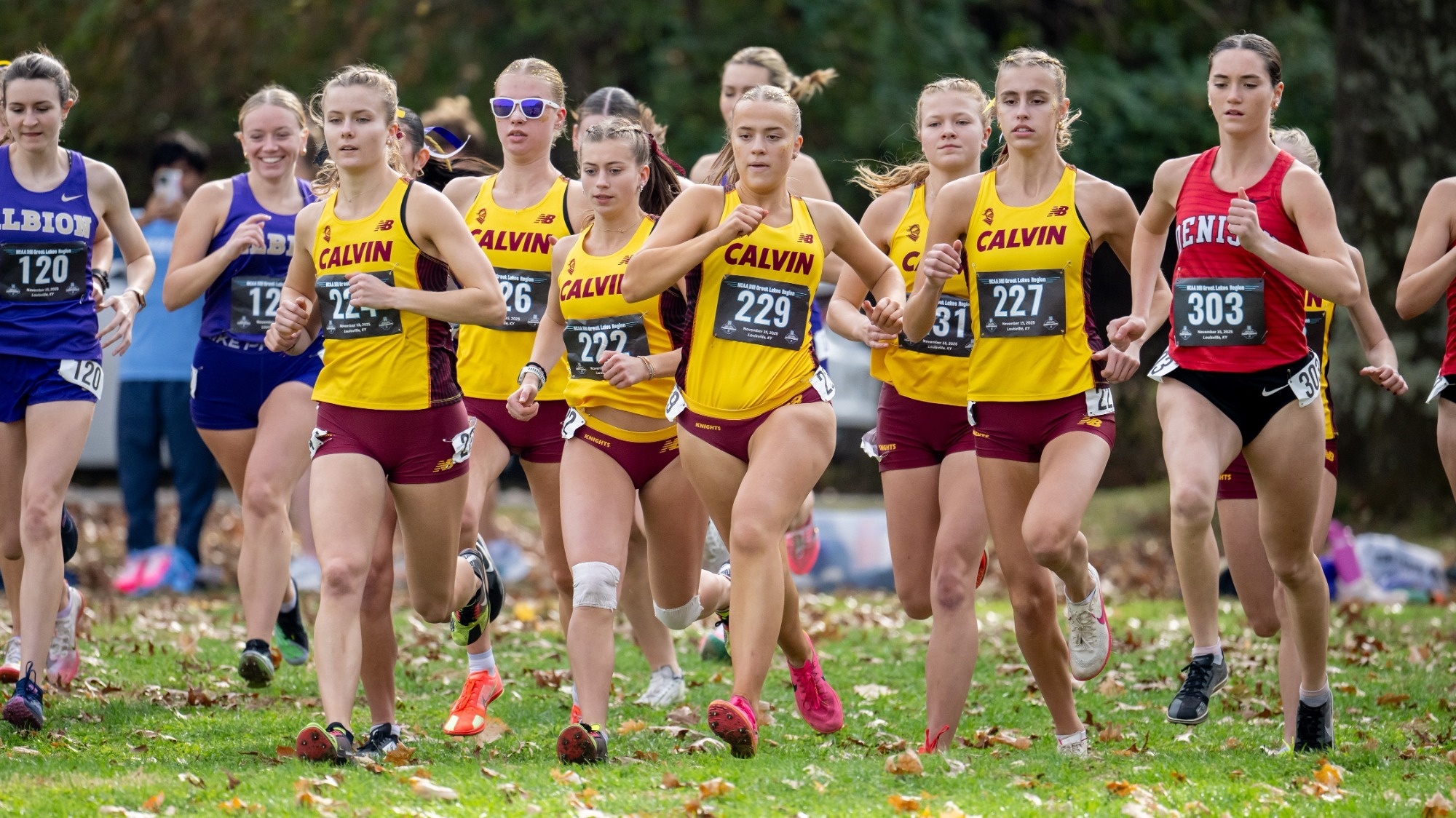Calvin Women's Cross at Start of 2025 NCAA III Great Lakes Regional Championships - 11-15-25