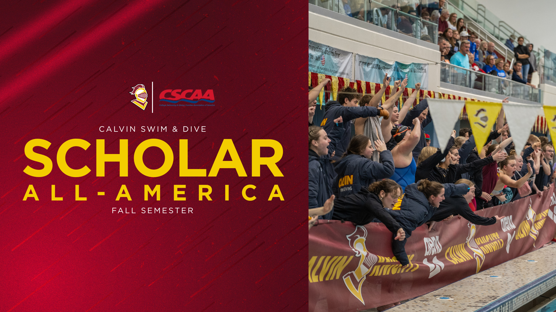 Scholar All-America Swim & Dive