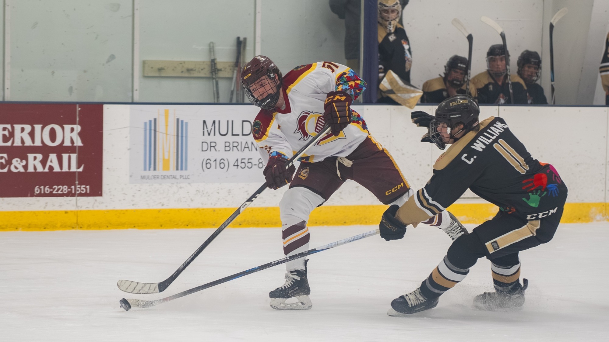 D3 Hockey vs Western Michigan - 1-22-26