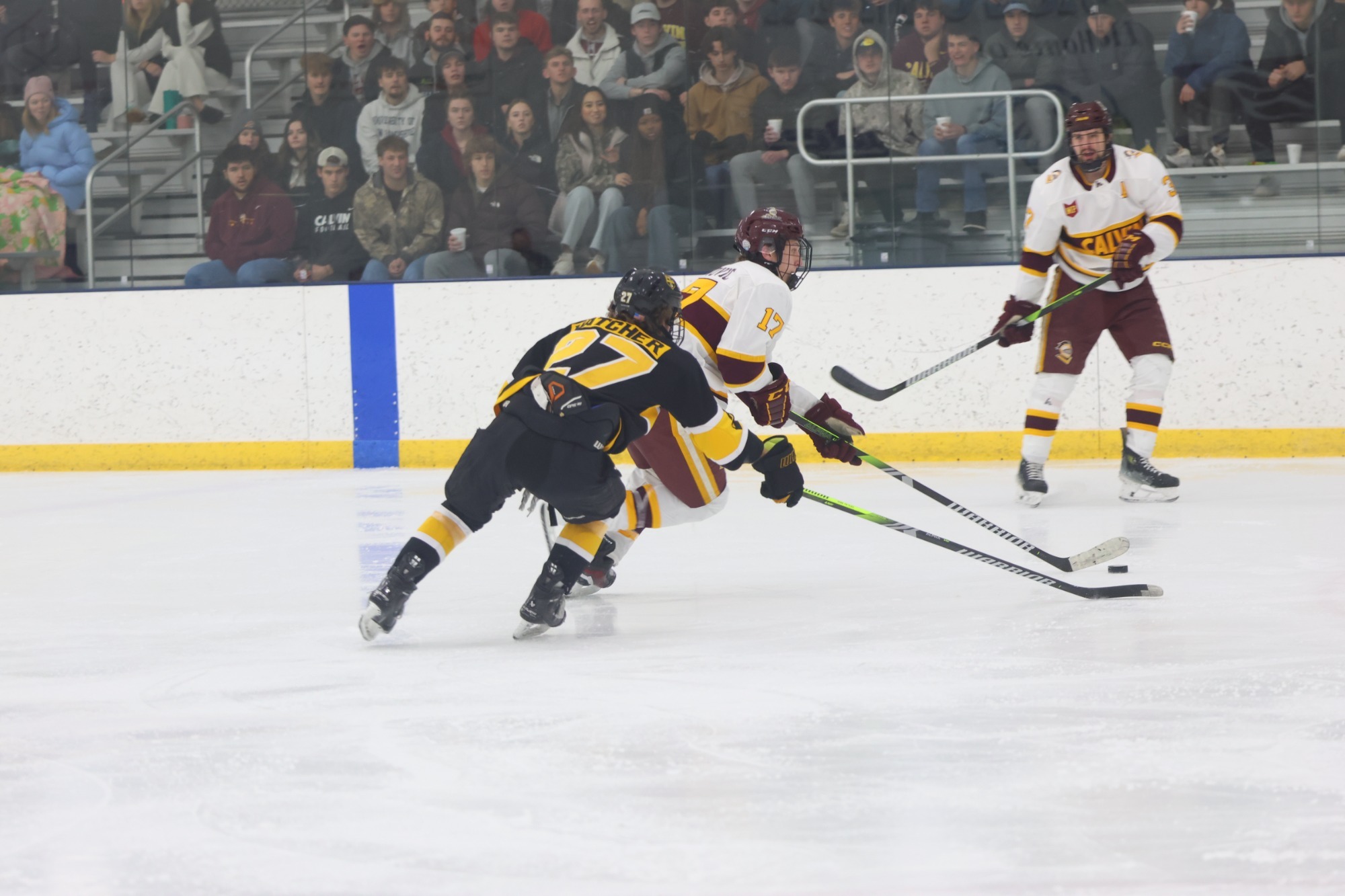 Joel Fonovic controls the puck against Adrian - 1-25-25