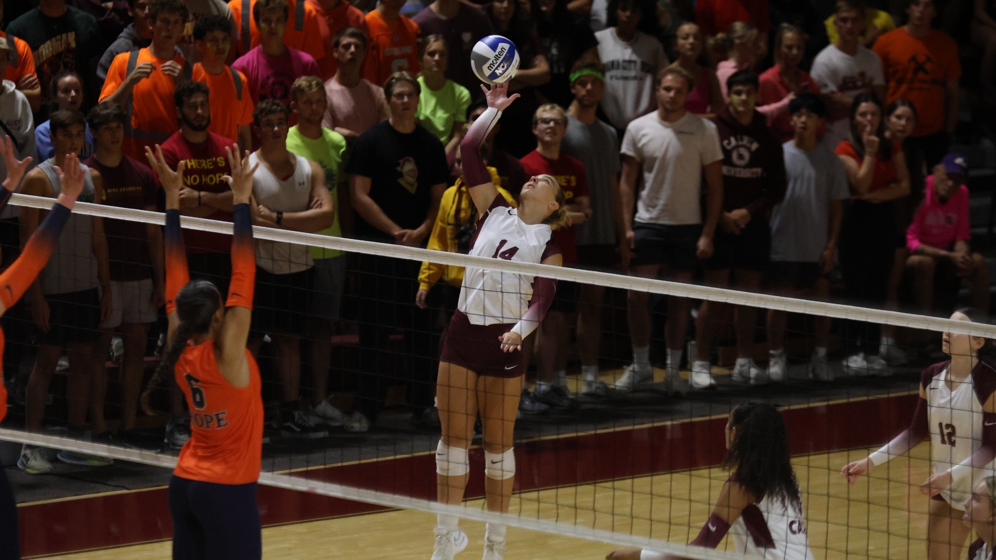 Calvin's Allison Moore Against Hope - 2024