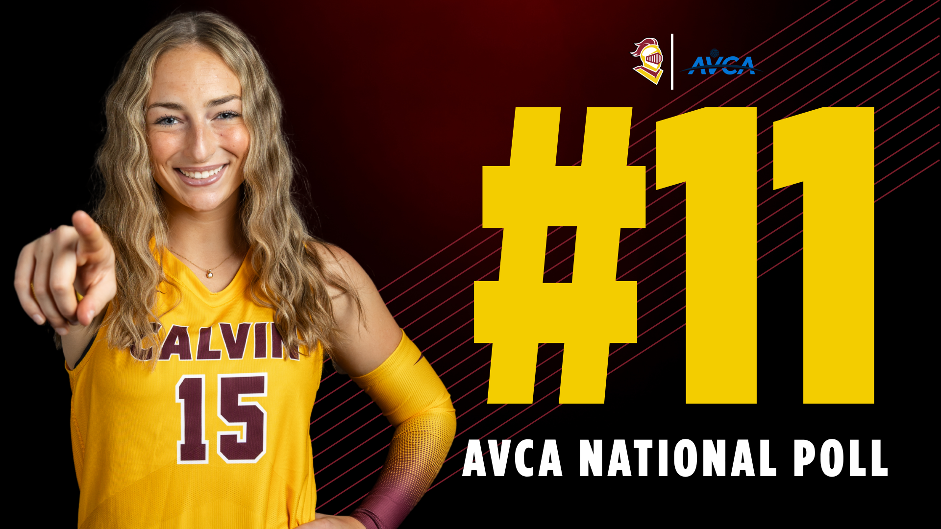 VB Rank #11