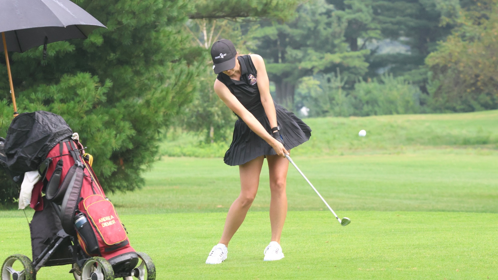 WGOLF 
