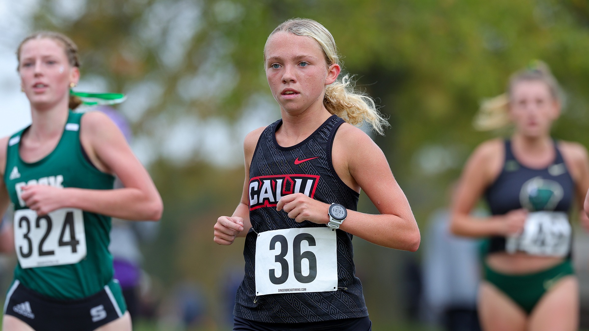 hamilton at cmu 2025