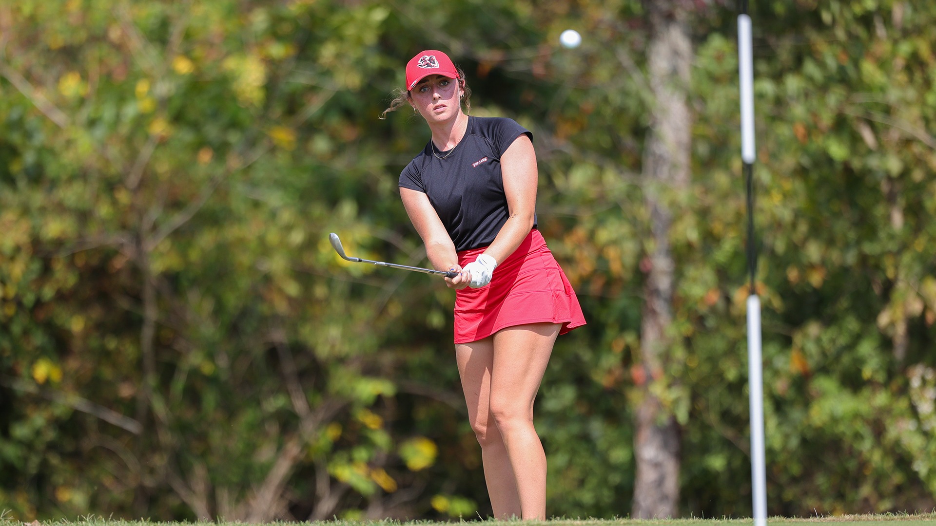 kaser chip at home event fall 2025